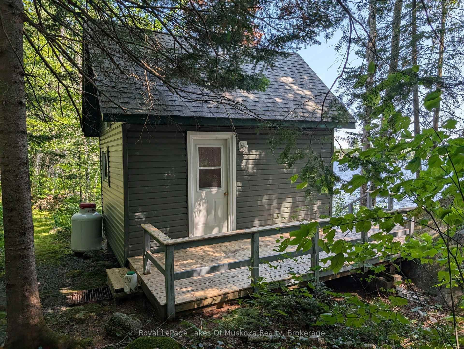 Bunkie