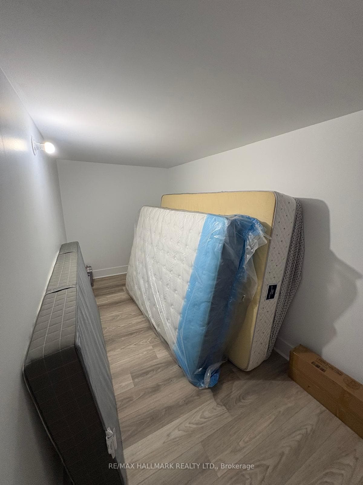 7 Ilfracombe Crescent Unit Basement photo 10