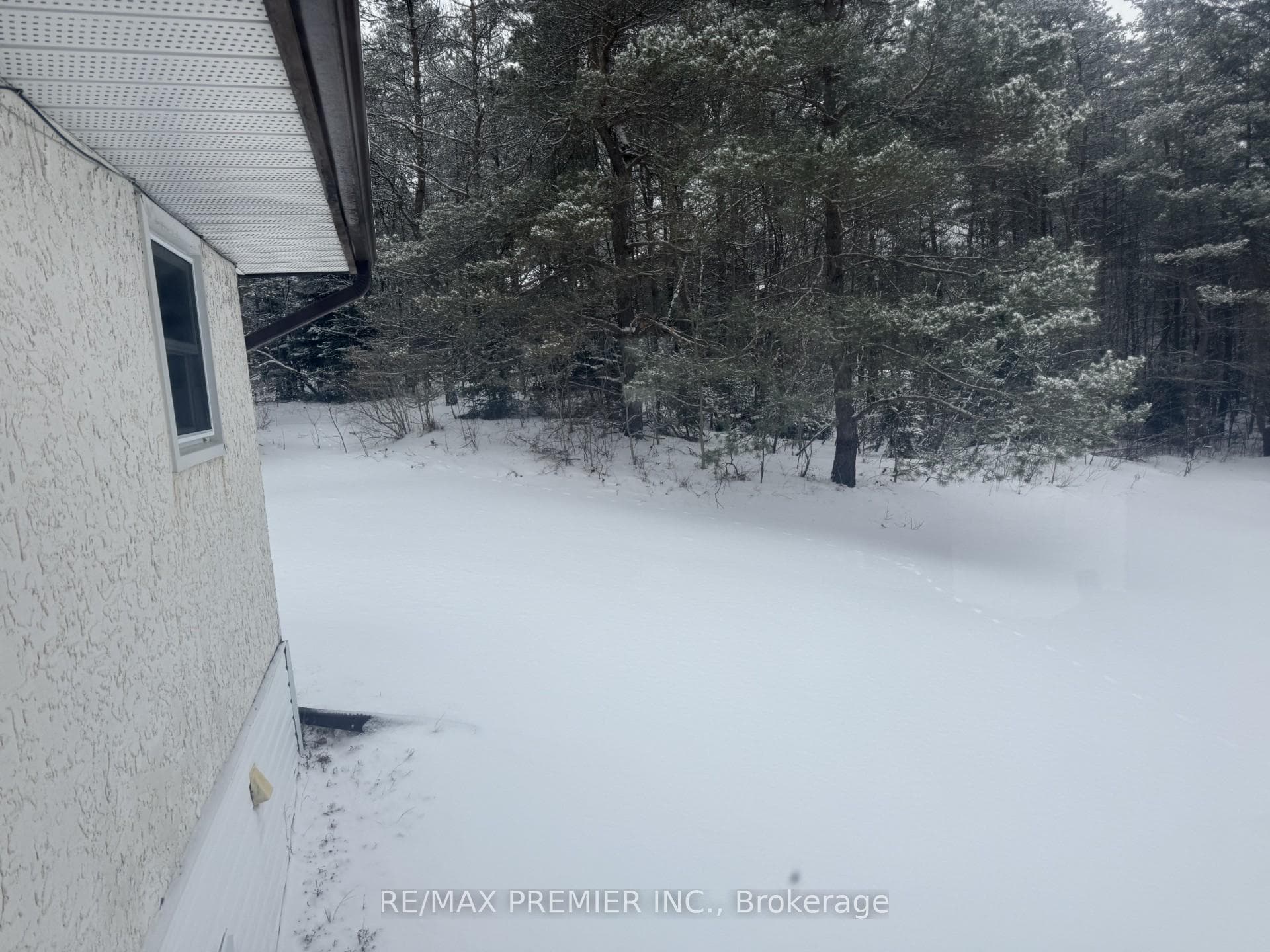 37 Savage Settlement Road photo 19