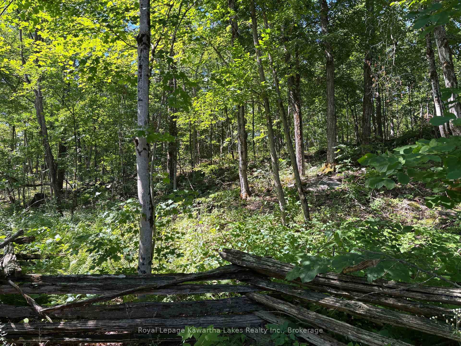 164 Sugar Bush Road photo 34
