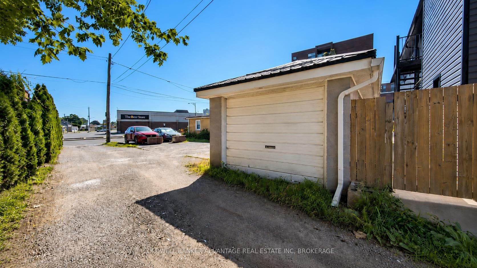 33 Raymond Street photo 5