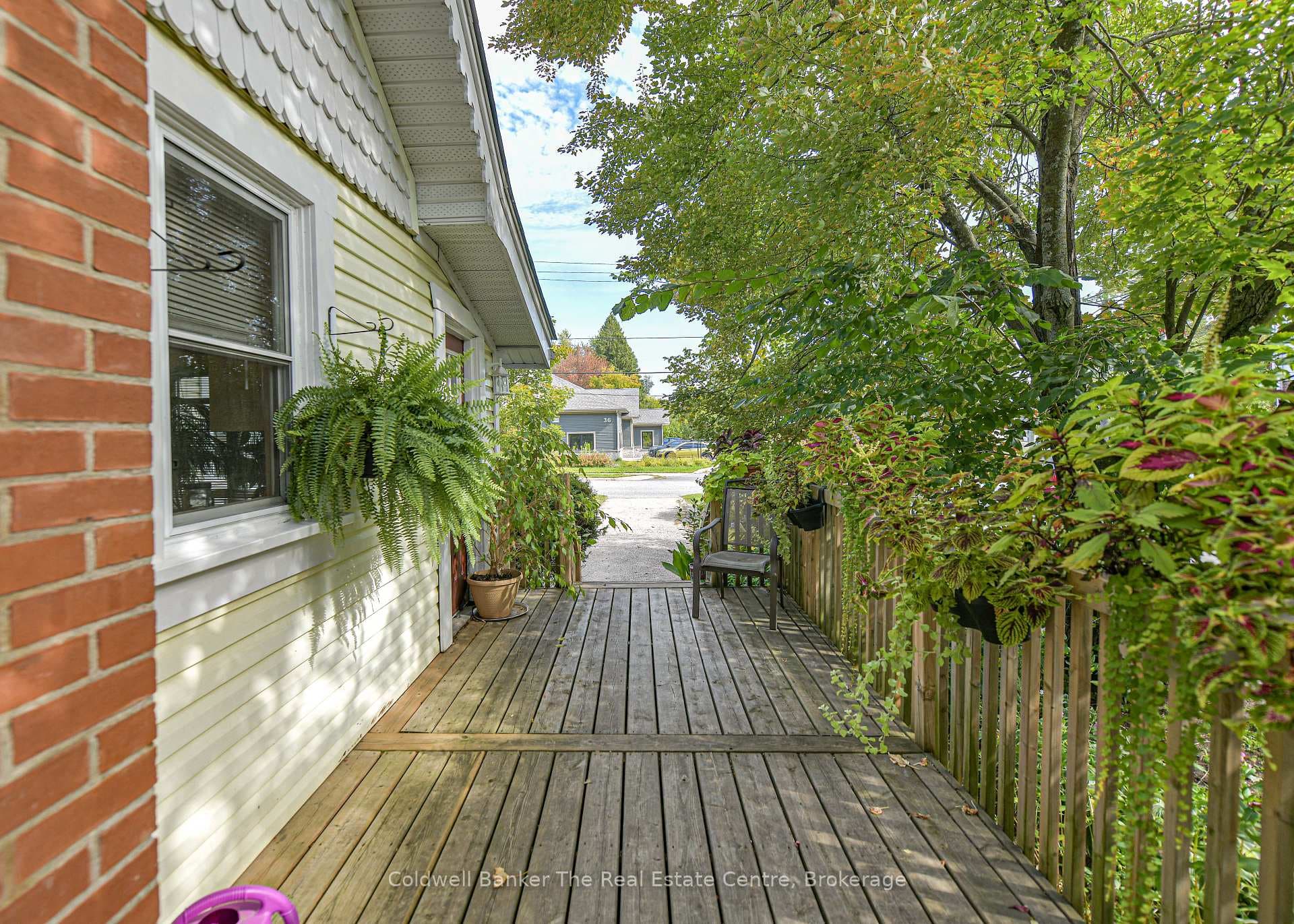 35 Mcdonald Street photo 46