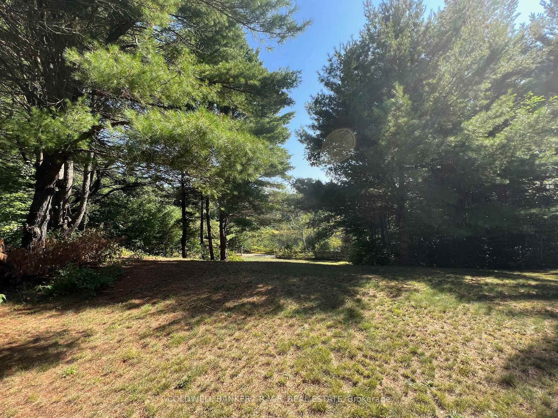 1371 Howland Junction Road photo 8