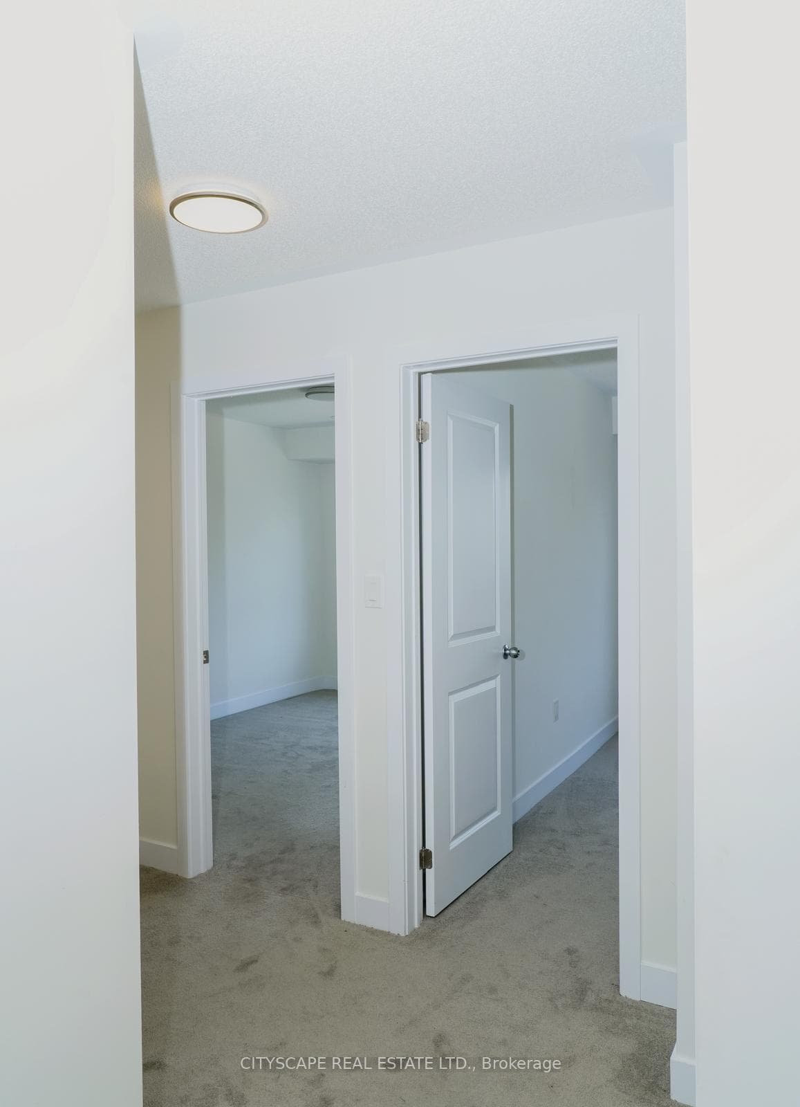 19 Lively Way photo 7