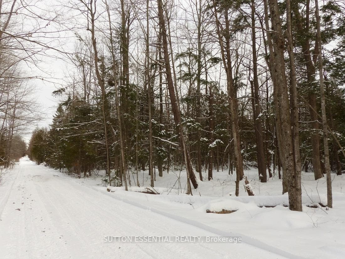 0 7th Concession Road photo 6