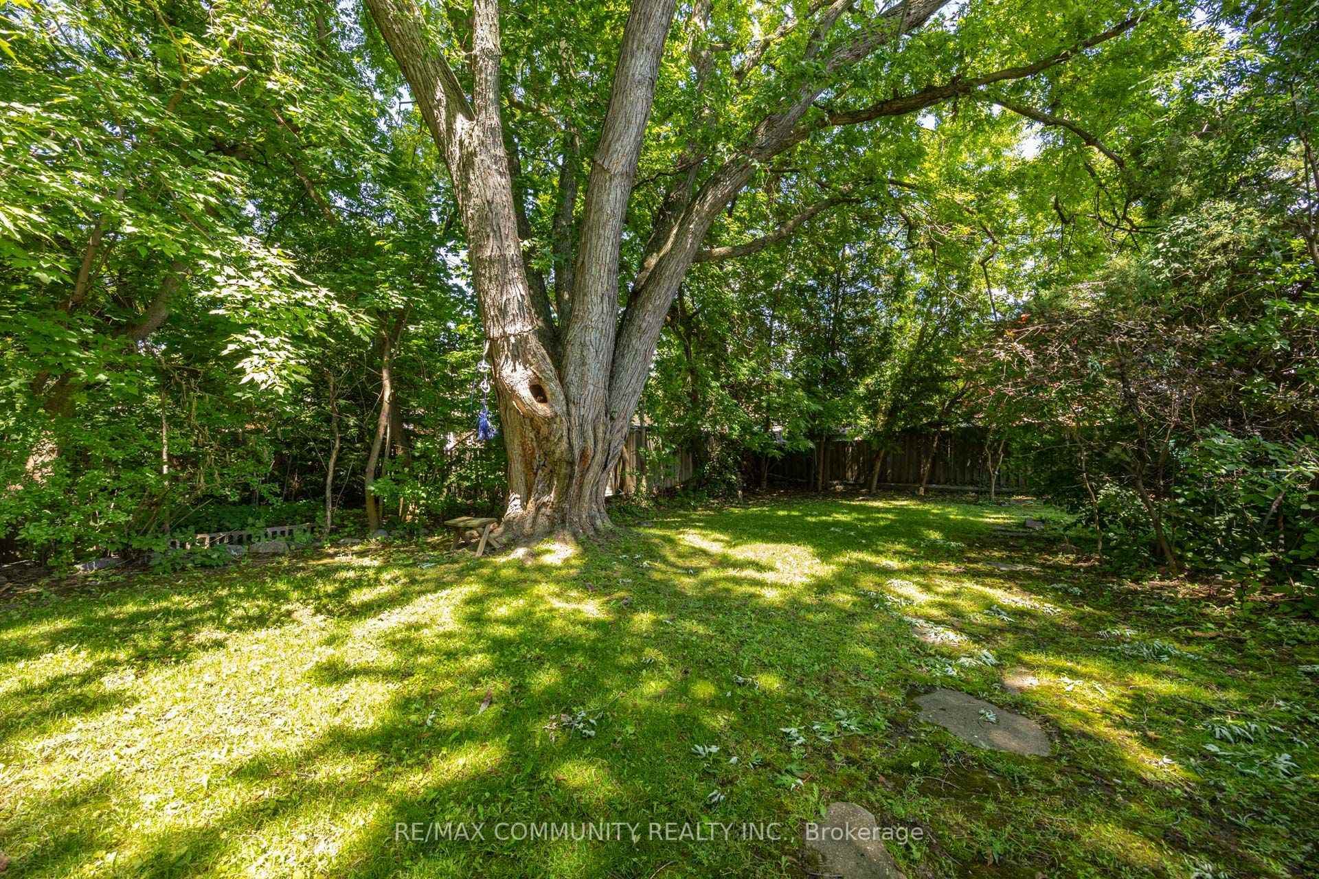 449 Ritson Road photo 25