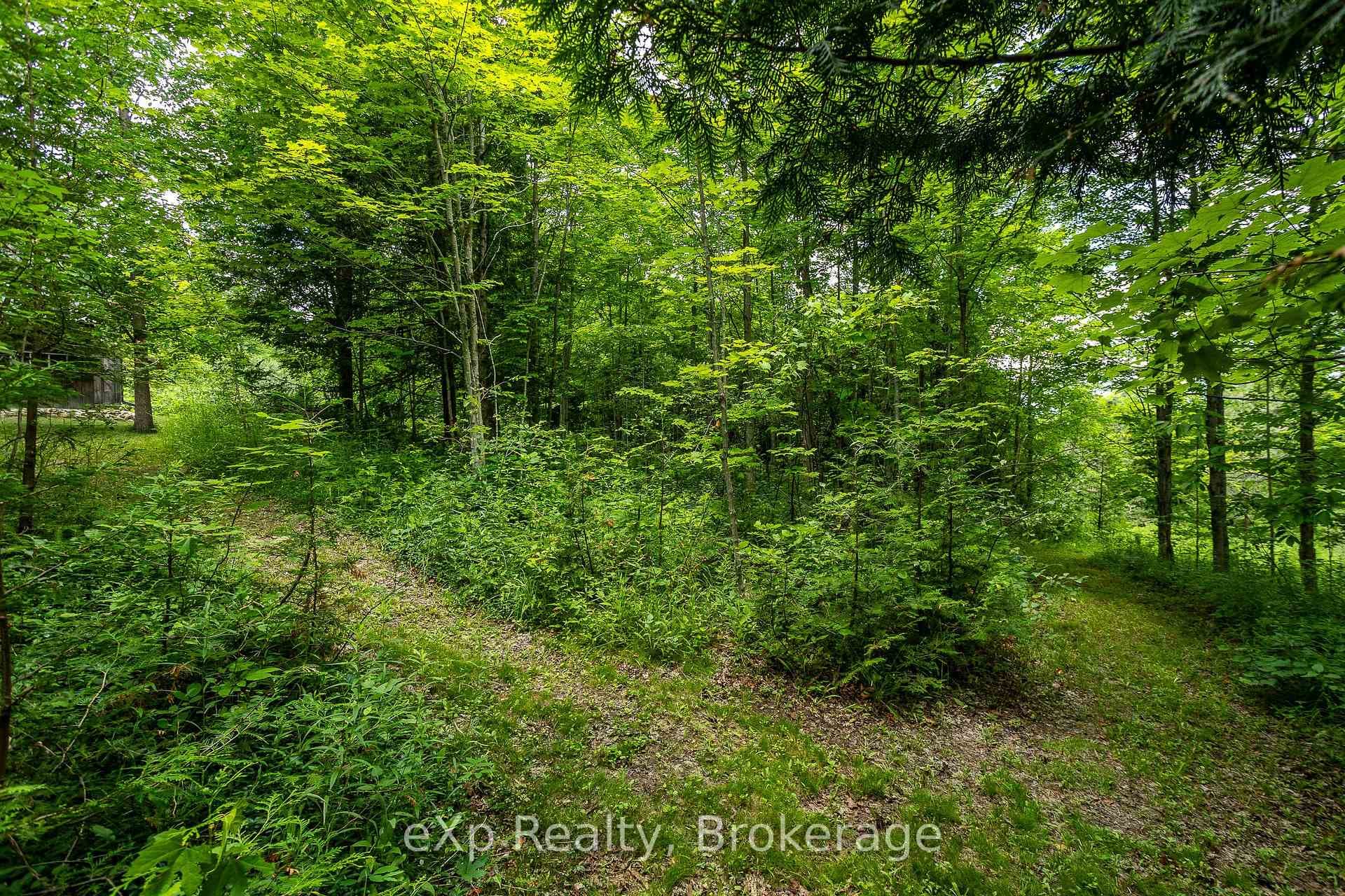 720232 Sideroad 20 N/A photo 43