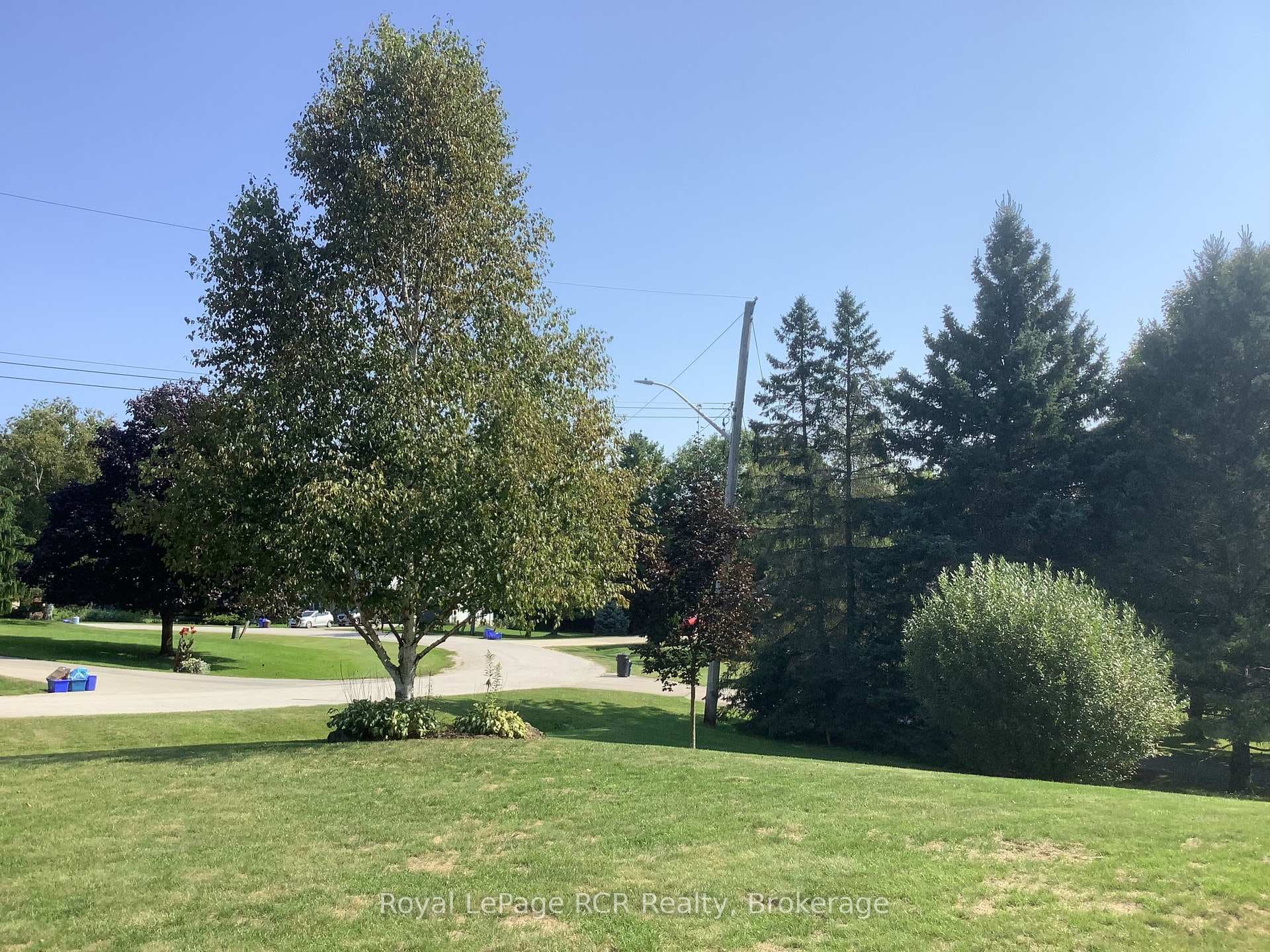 107 MAPLE RIDGE Crescent photo 44