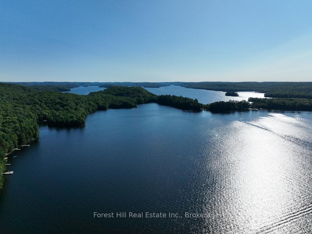 10689 Kawagama Lake WAO N/A photo 8