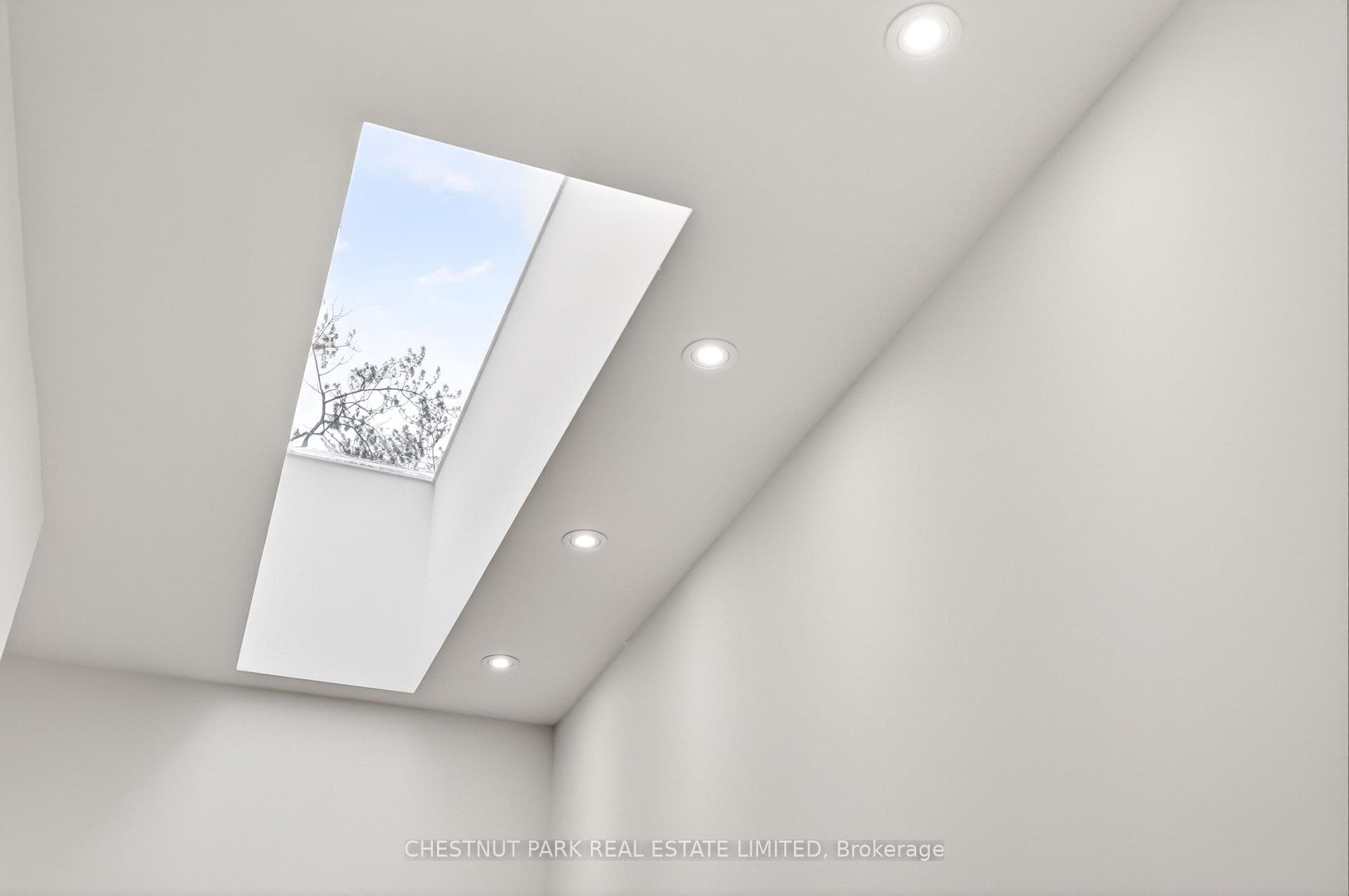90 Macpherson Avenue photo 24