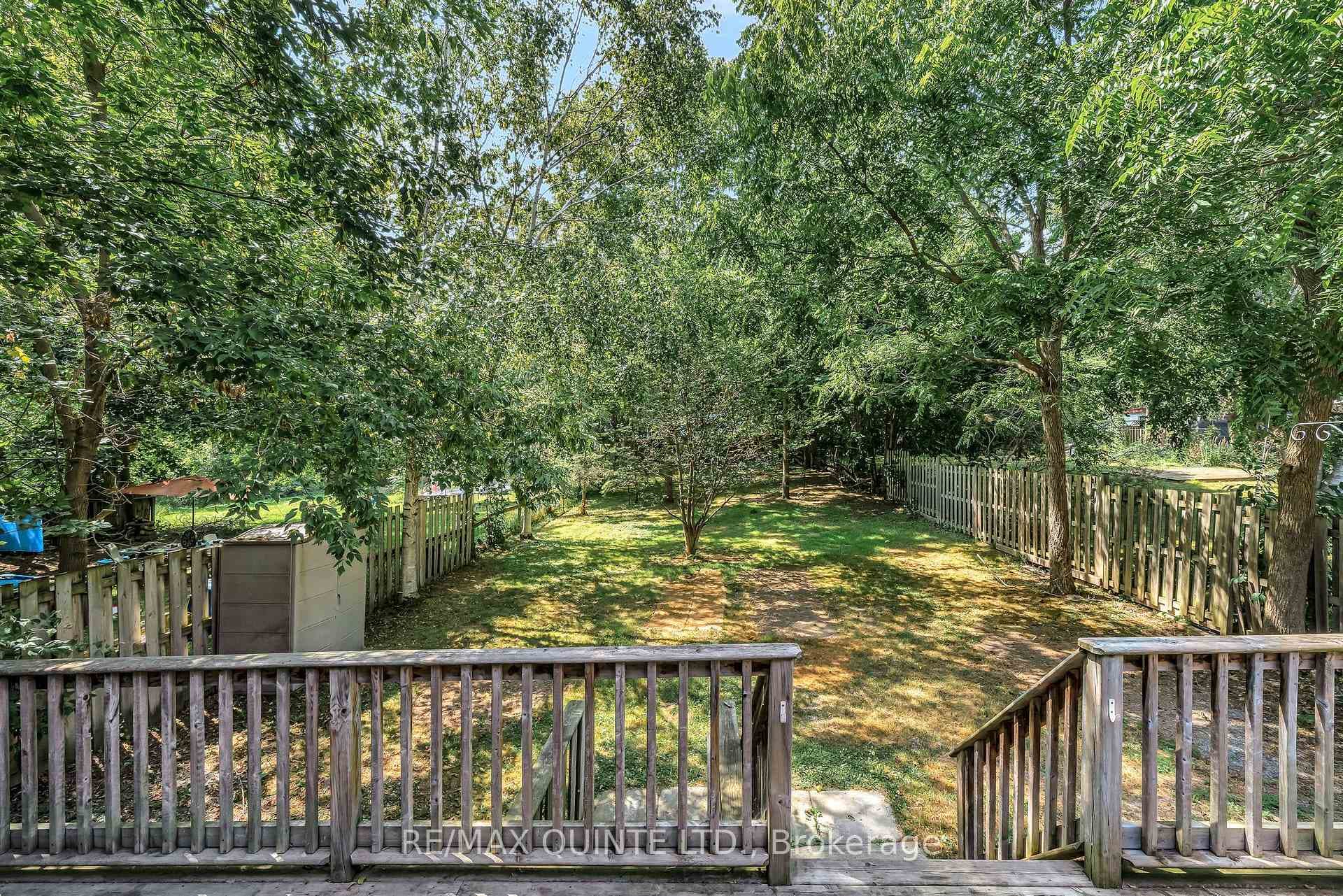 Rear Yard