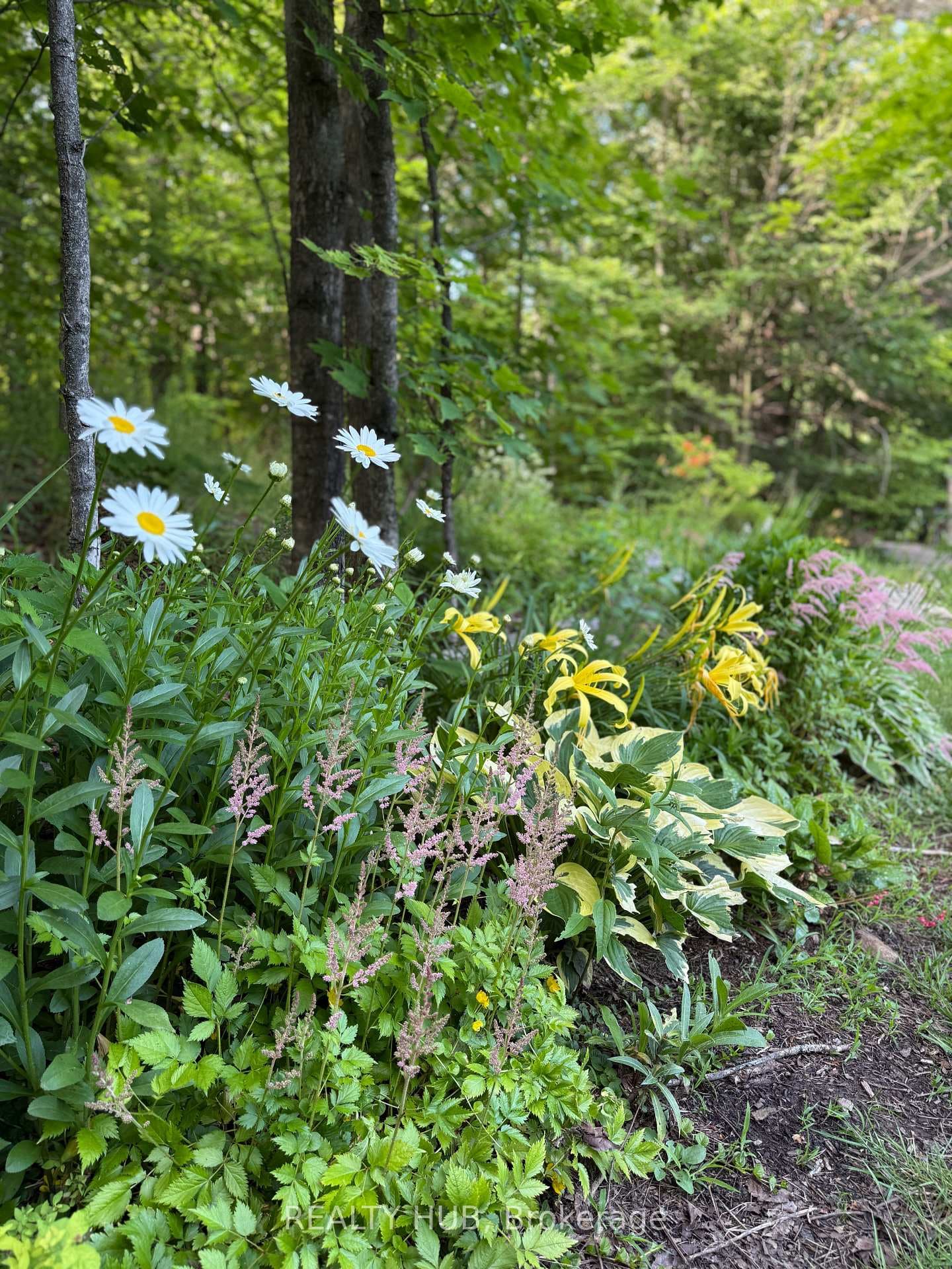 Beautiful Perennial Garden