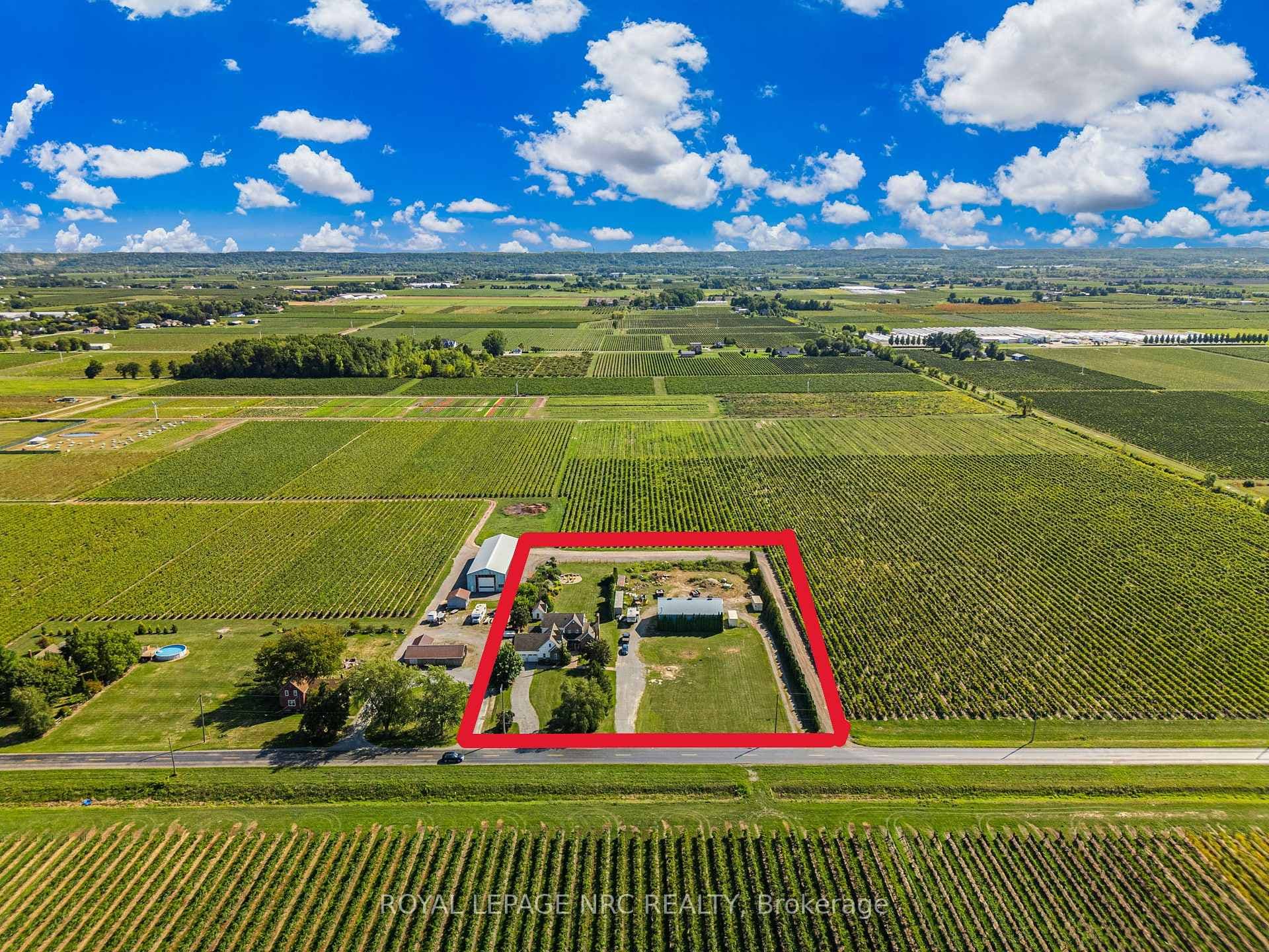 Surrounded by lush vineyards.