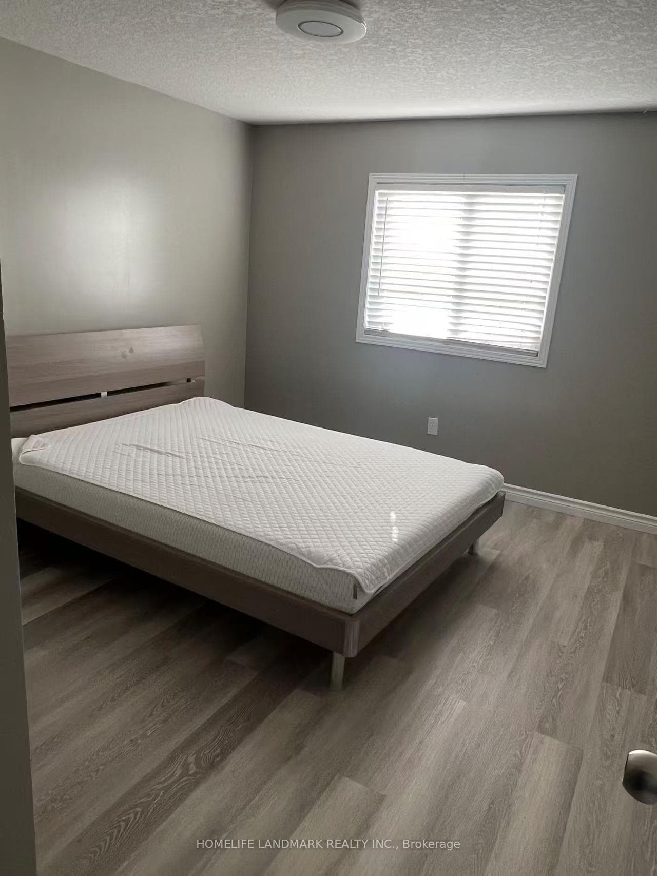 419 SPECKLED ALDER Street photo 6