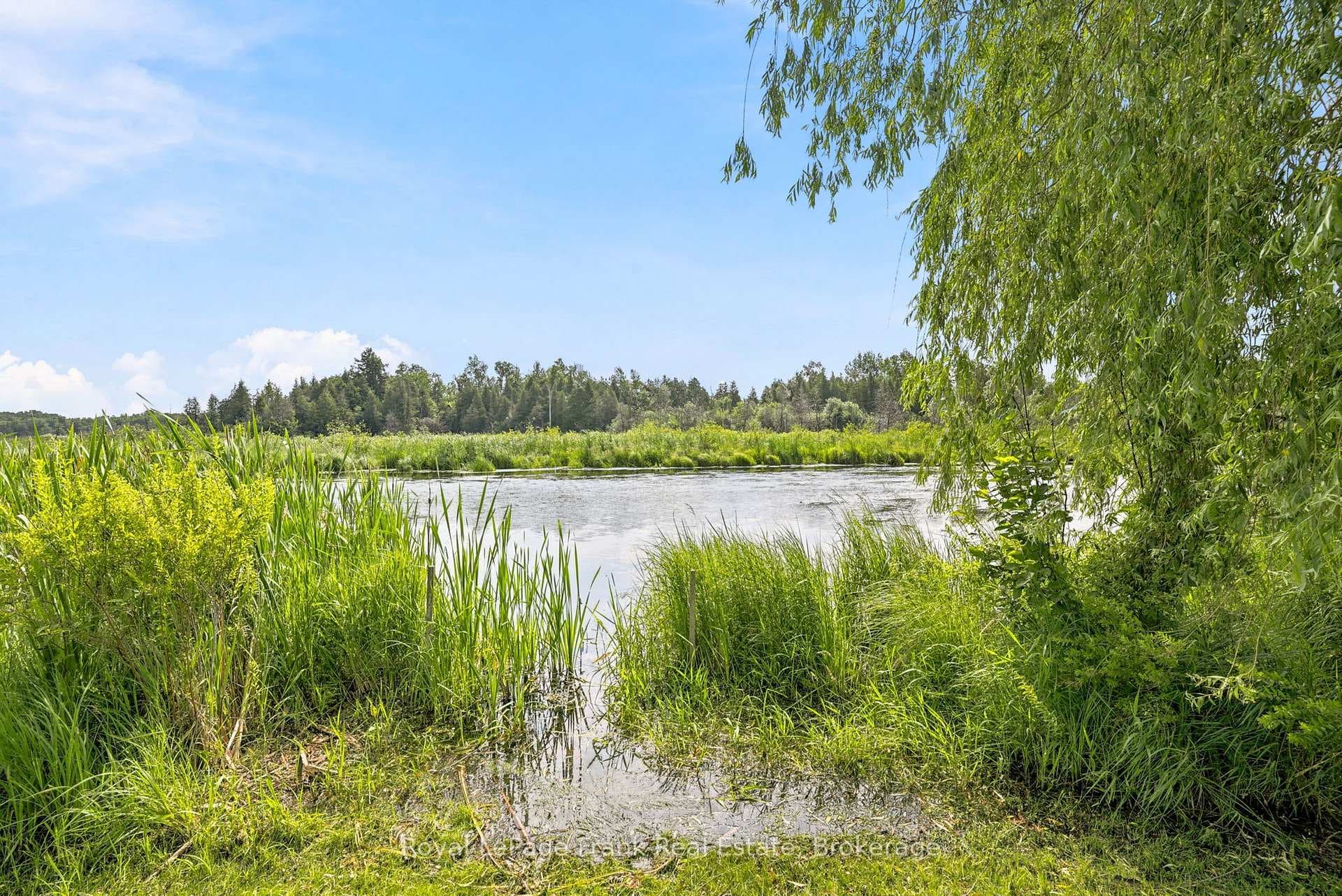 128 River Road photo 43