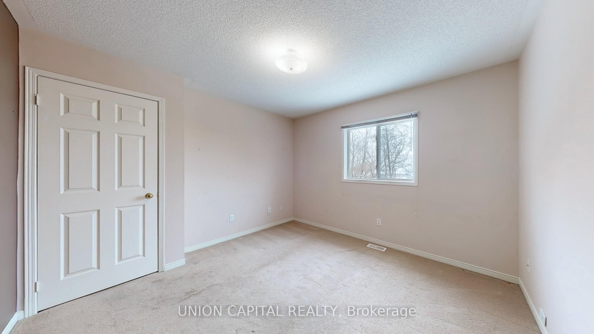 731 Brasswinds Trail photo 11