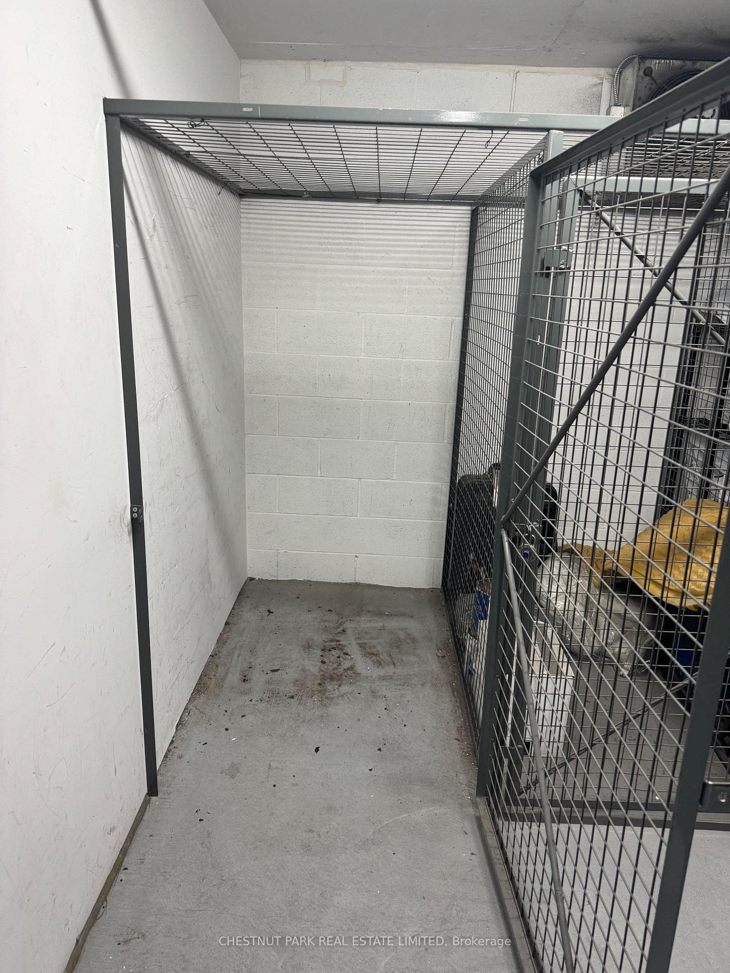 319 Merton Street Unit 1013 photo 46