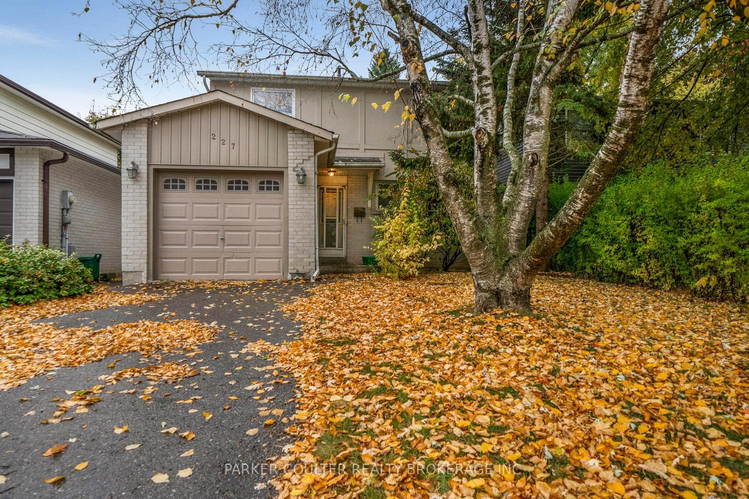 227 Thoms Crescent photo 3