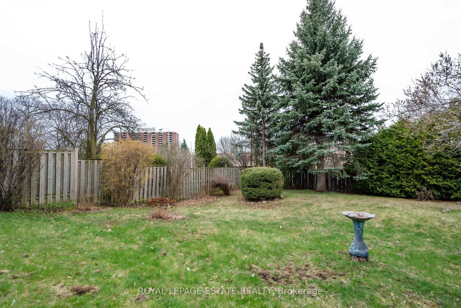 4 Lionhead Trail photo 32