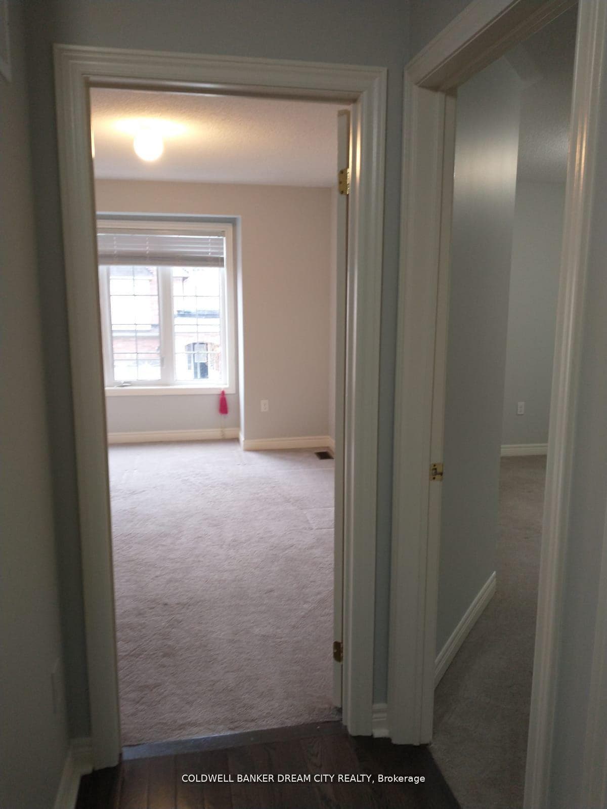 451 Cedric Terrace photo 21