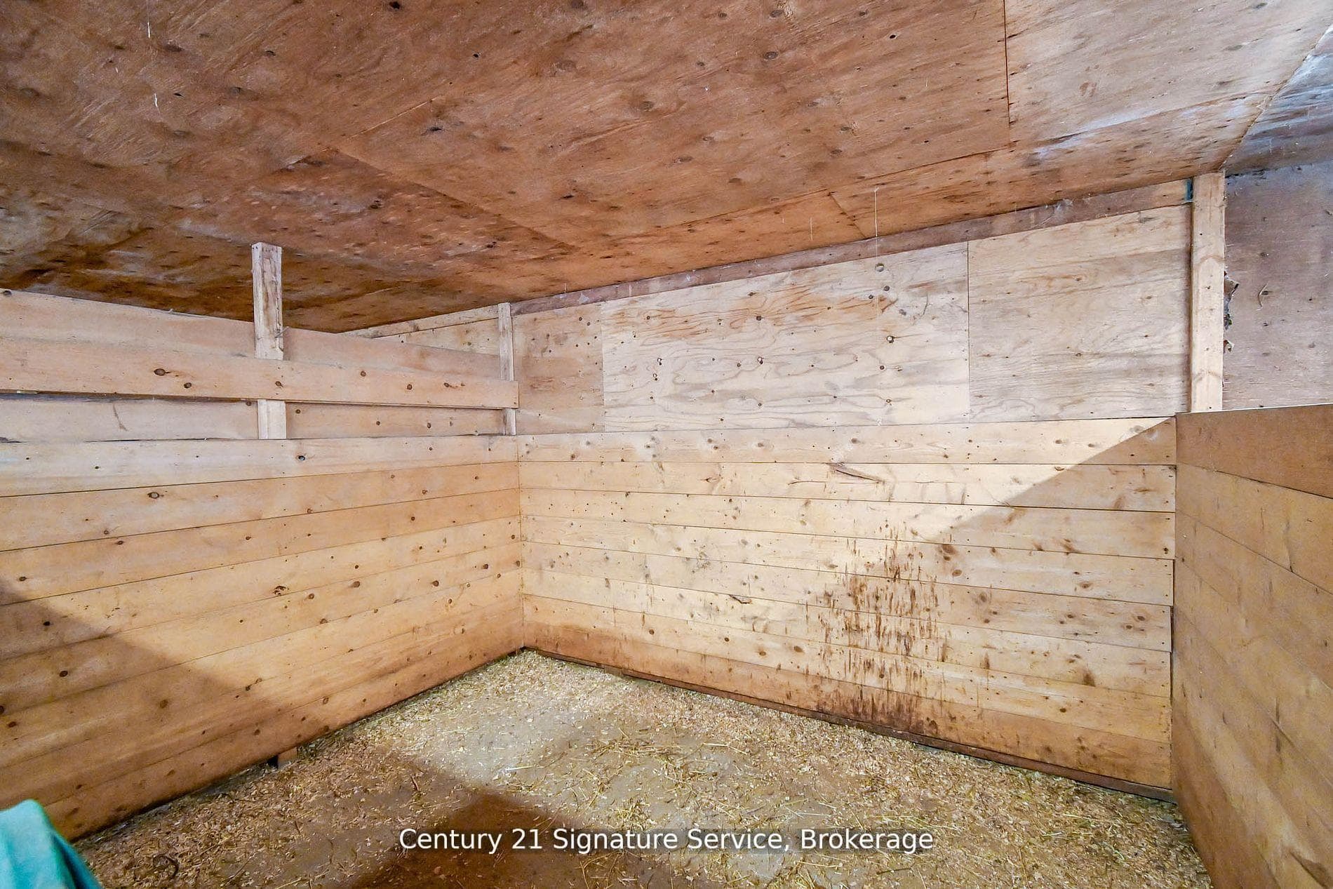 752 Empire Road photo 21