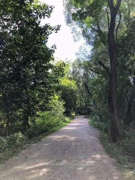 Walking Trails in the community