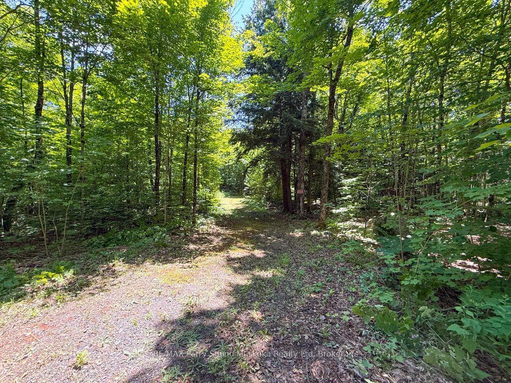 17 White Beaver Trail photo 2