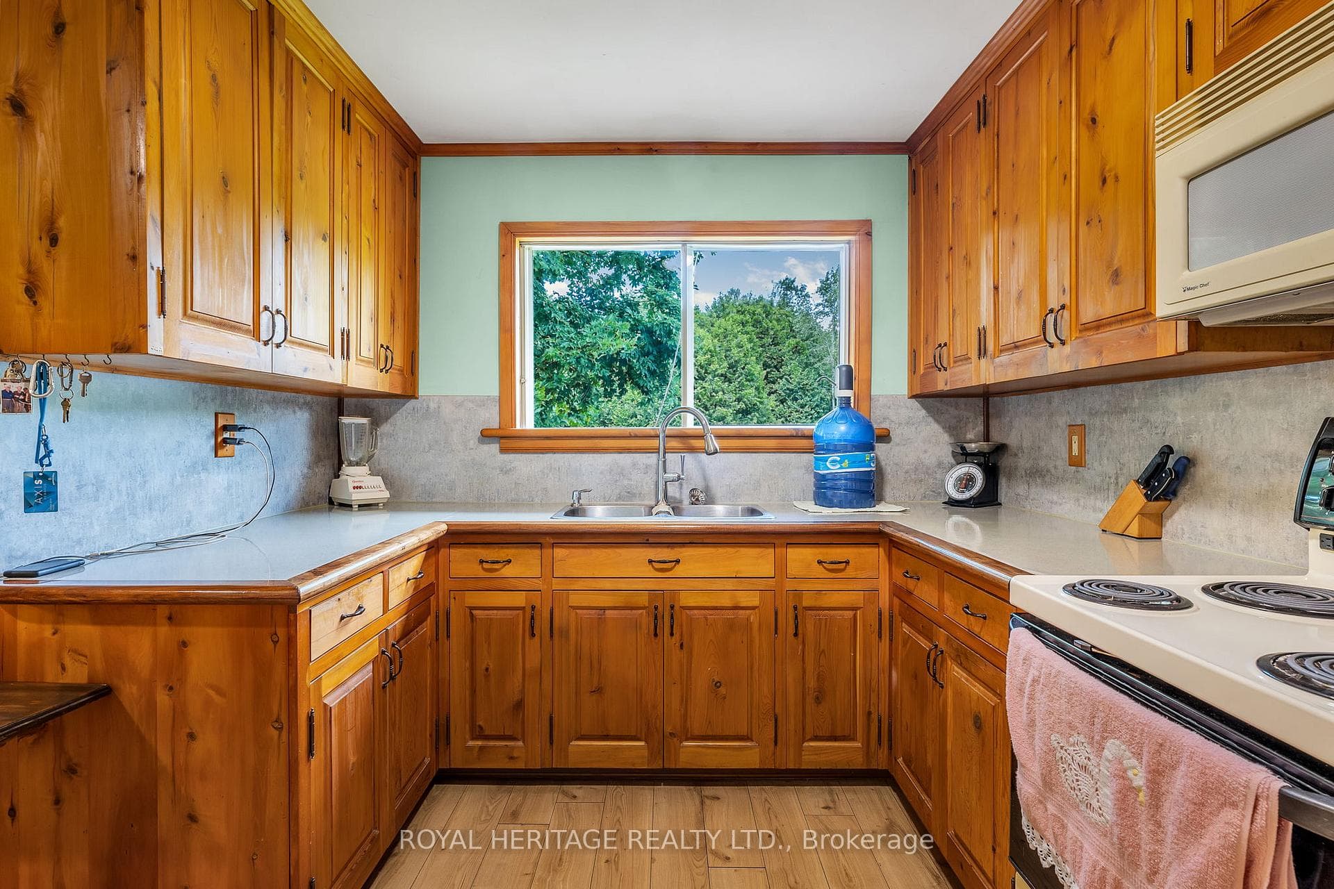 6350 Rice Lake Scenic Drive photo 16