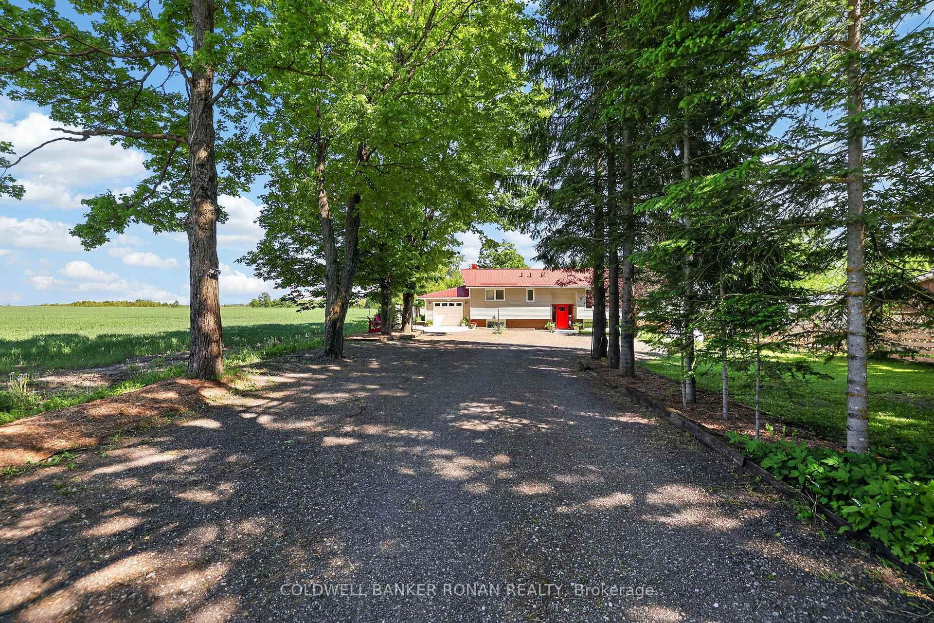 681170 260 Side Road photo 1