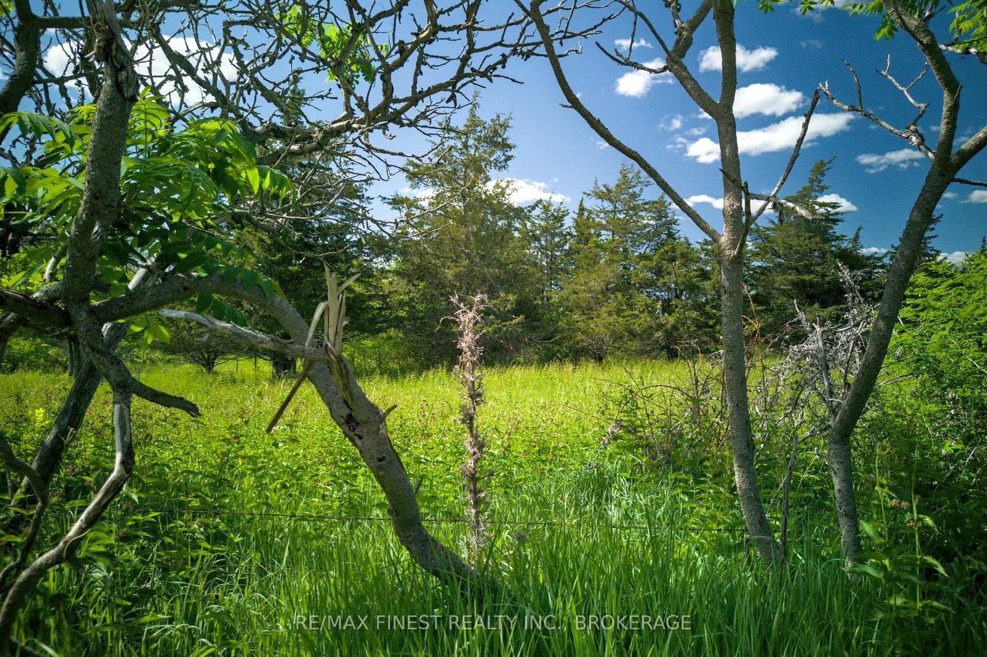 Lot 13b Front Road photo 23