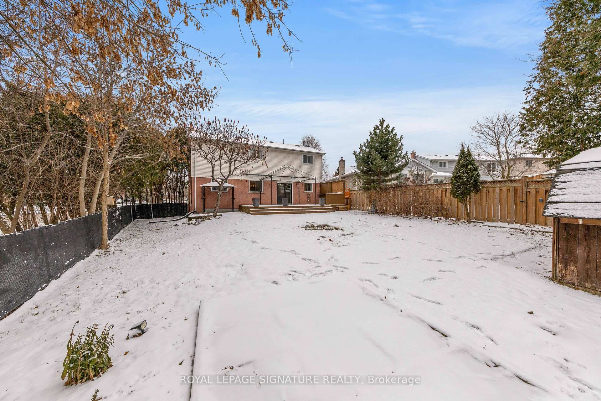 Extra large backyard