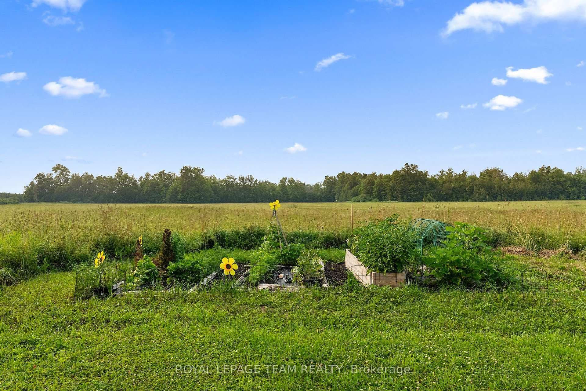 620 Yantha Road Unit A photo 44