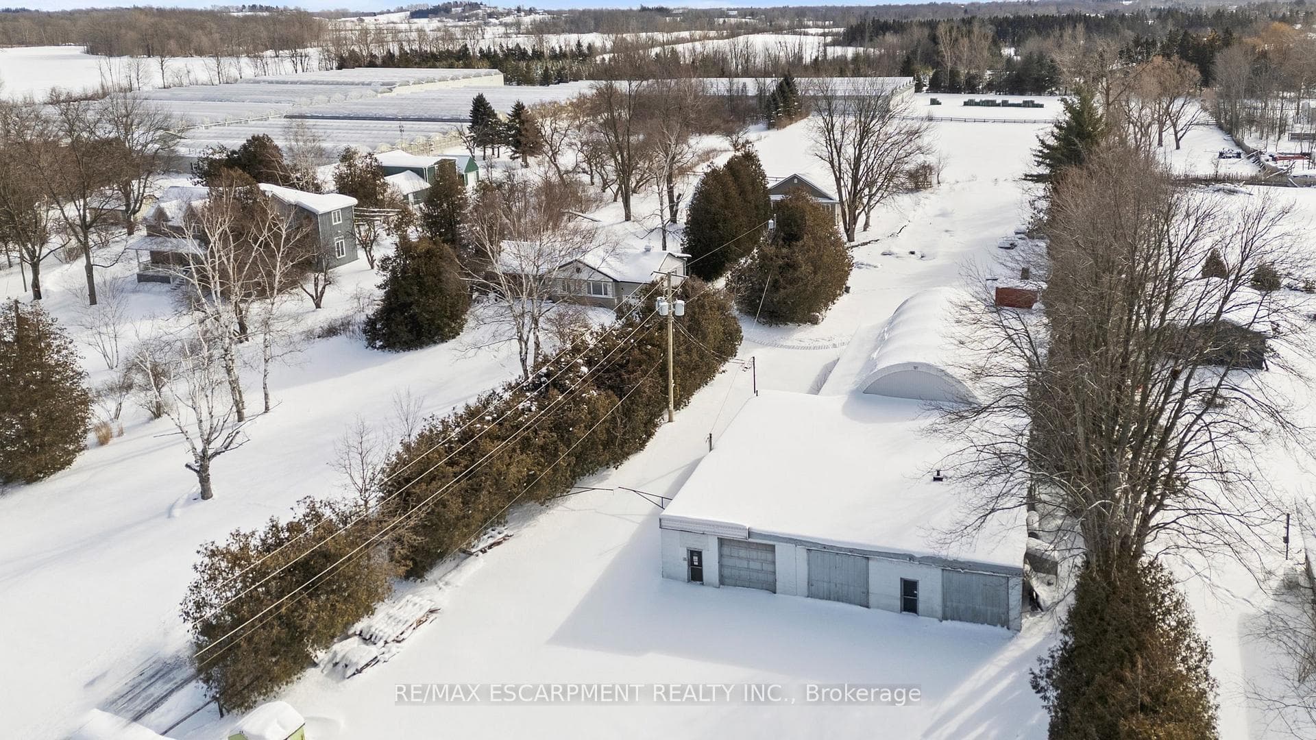 20 Carlisle Road photo 35