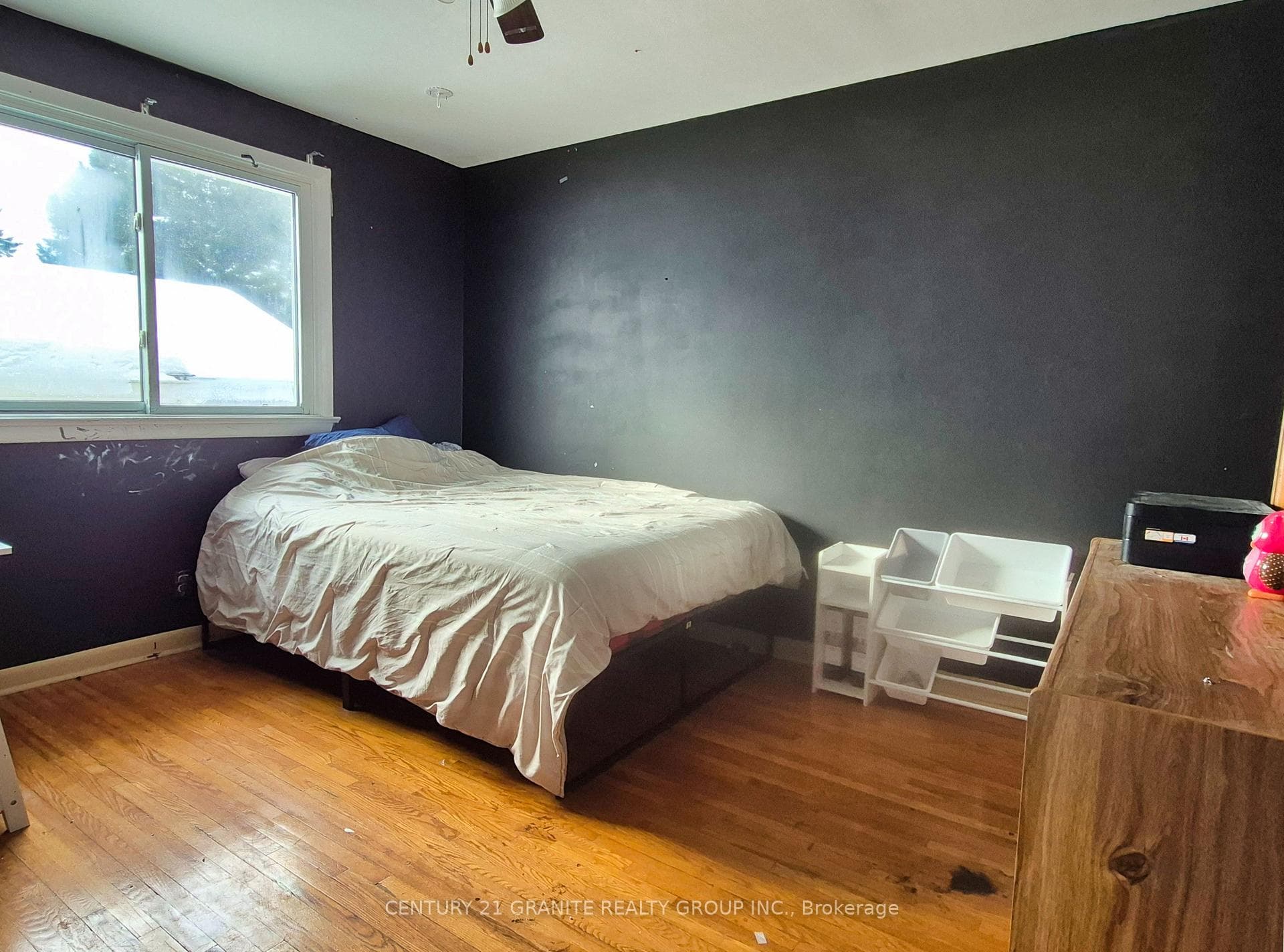 12 Hemlock Street photo 13