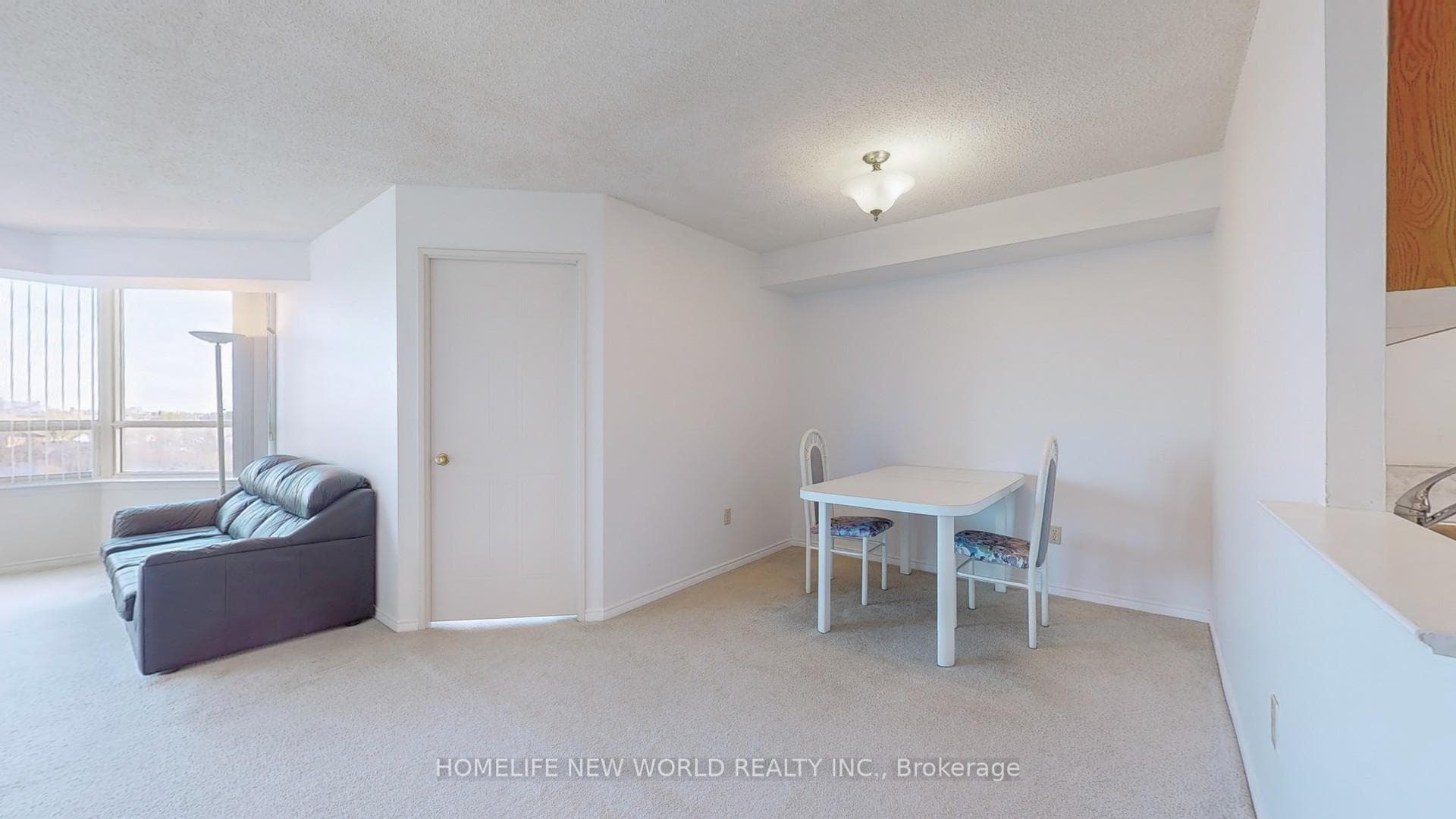 3 Greystone Walk Drive Unit 1123 photo 5