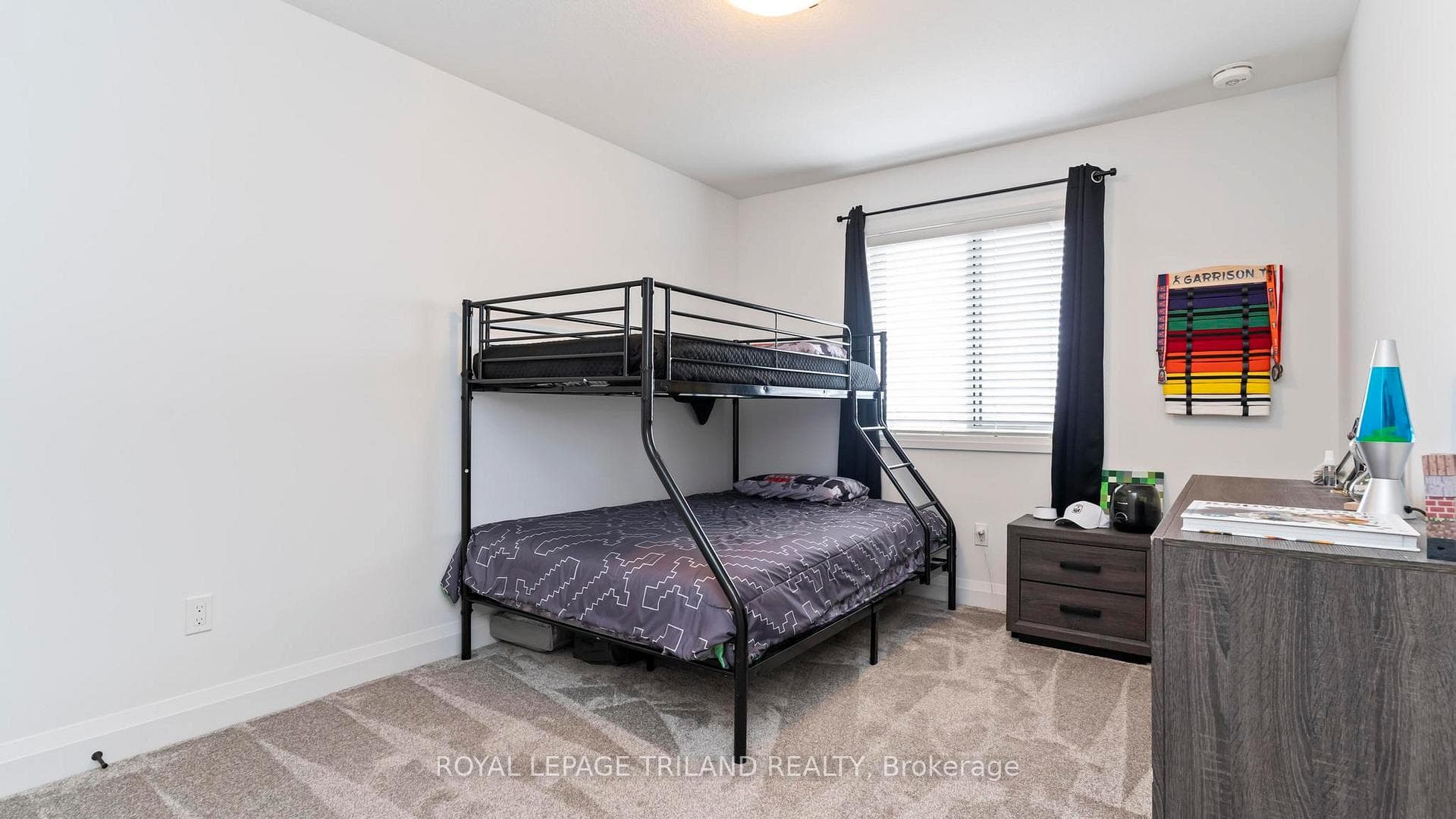 265 RENAISSANCE Drive photo 22