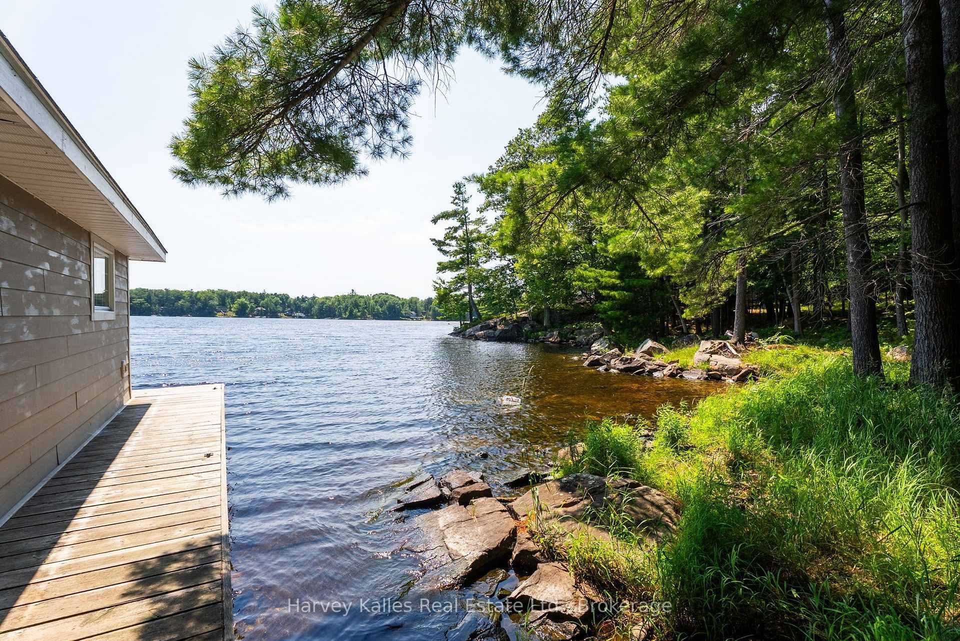 37-M81 Pine Island photo 11