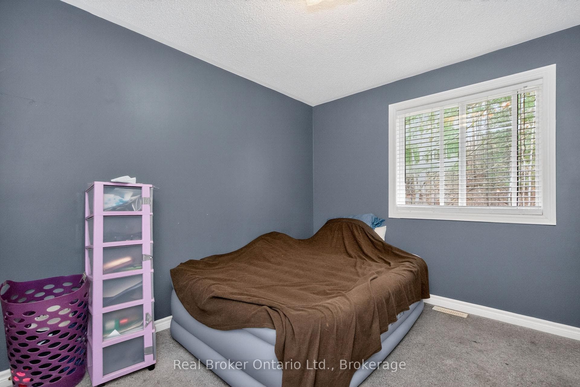 11 Campbell Court photo 11