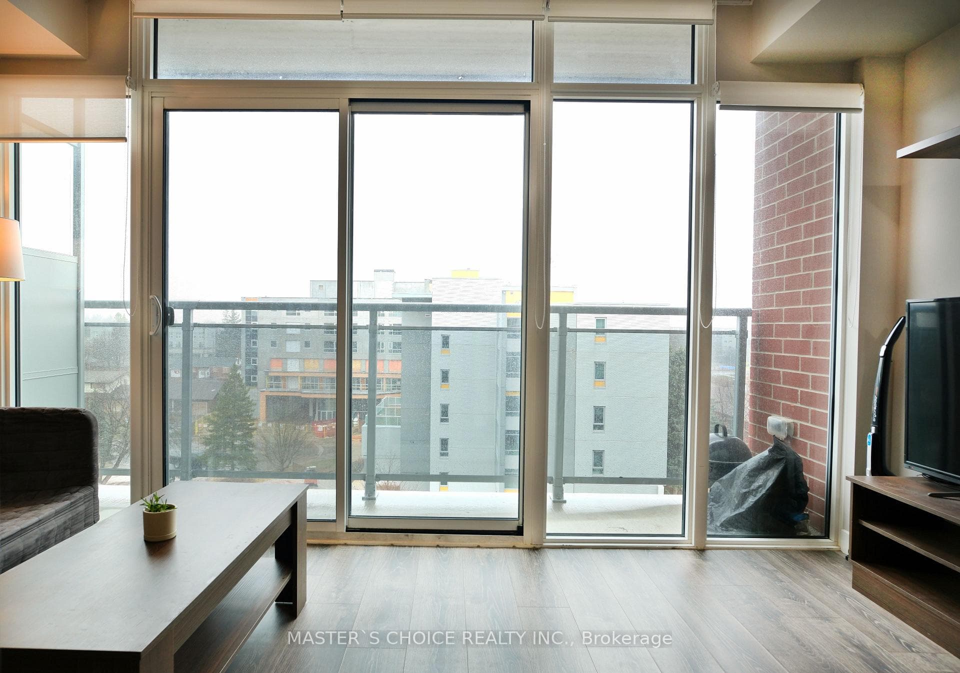 308 Lester Street Unit 605 photo 7