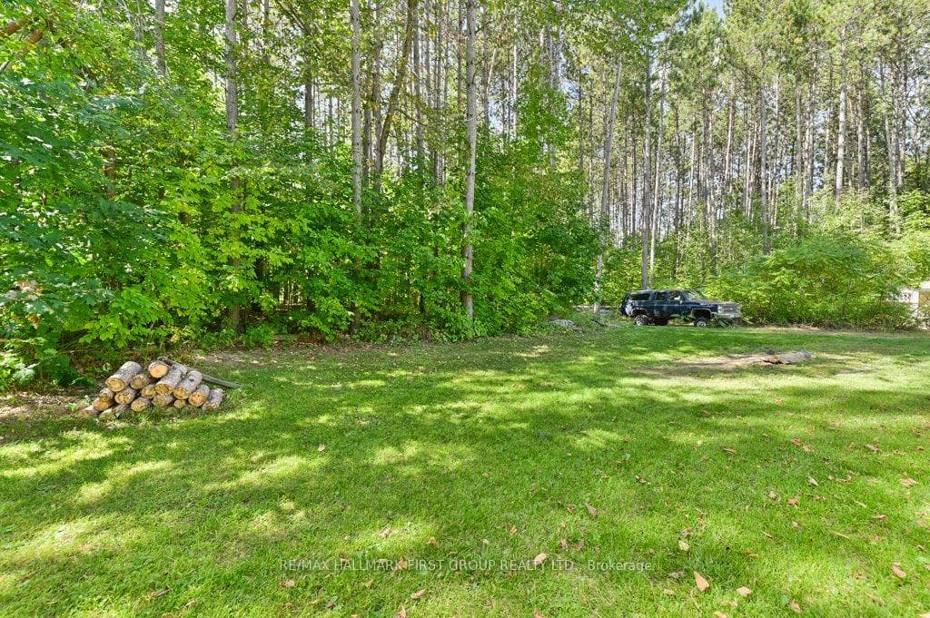 Private Back yard