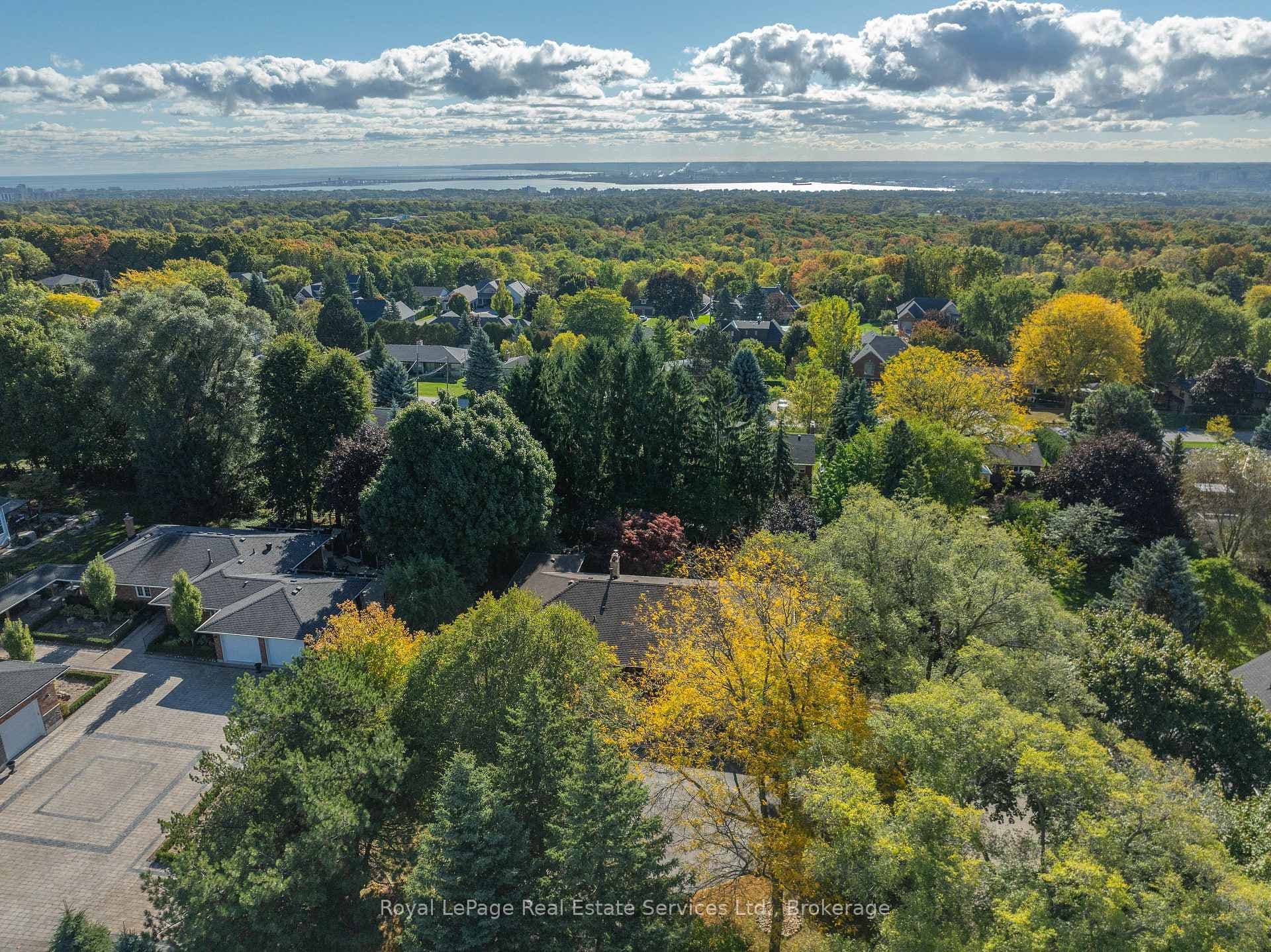 184 Dundas Street photo 5