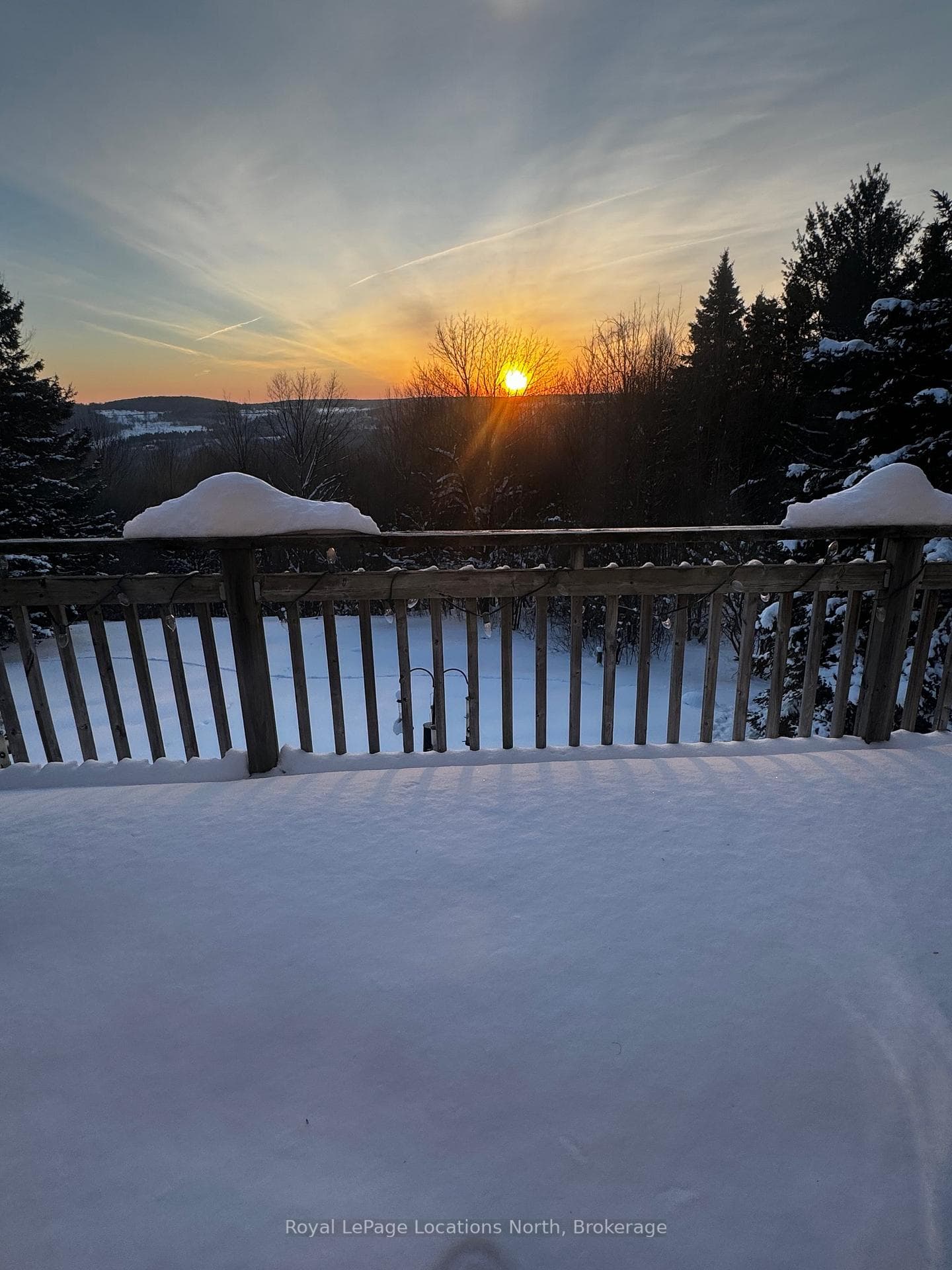 Early bird gets first tracks