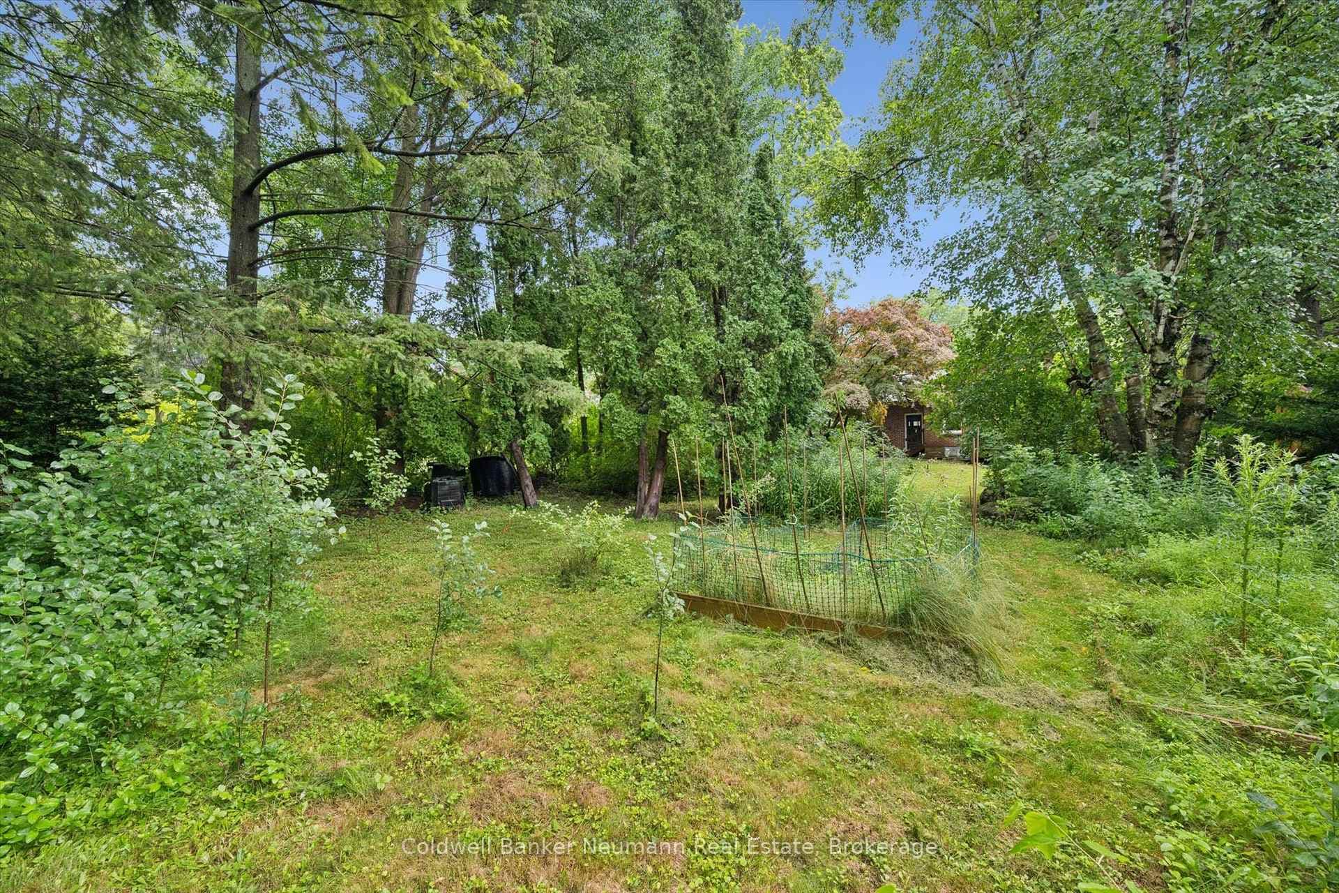 Sunny space for a vegetable garden
