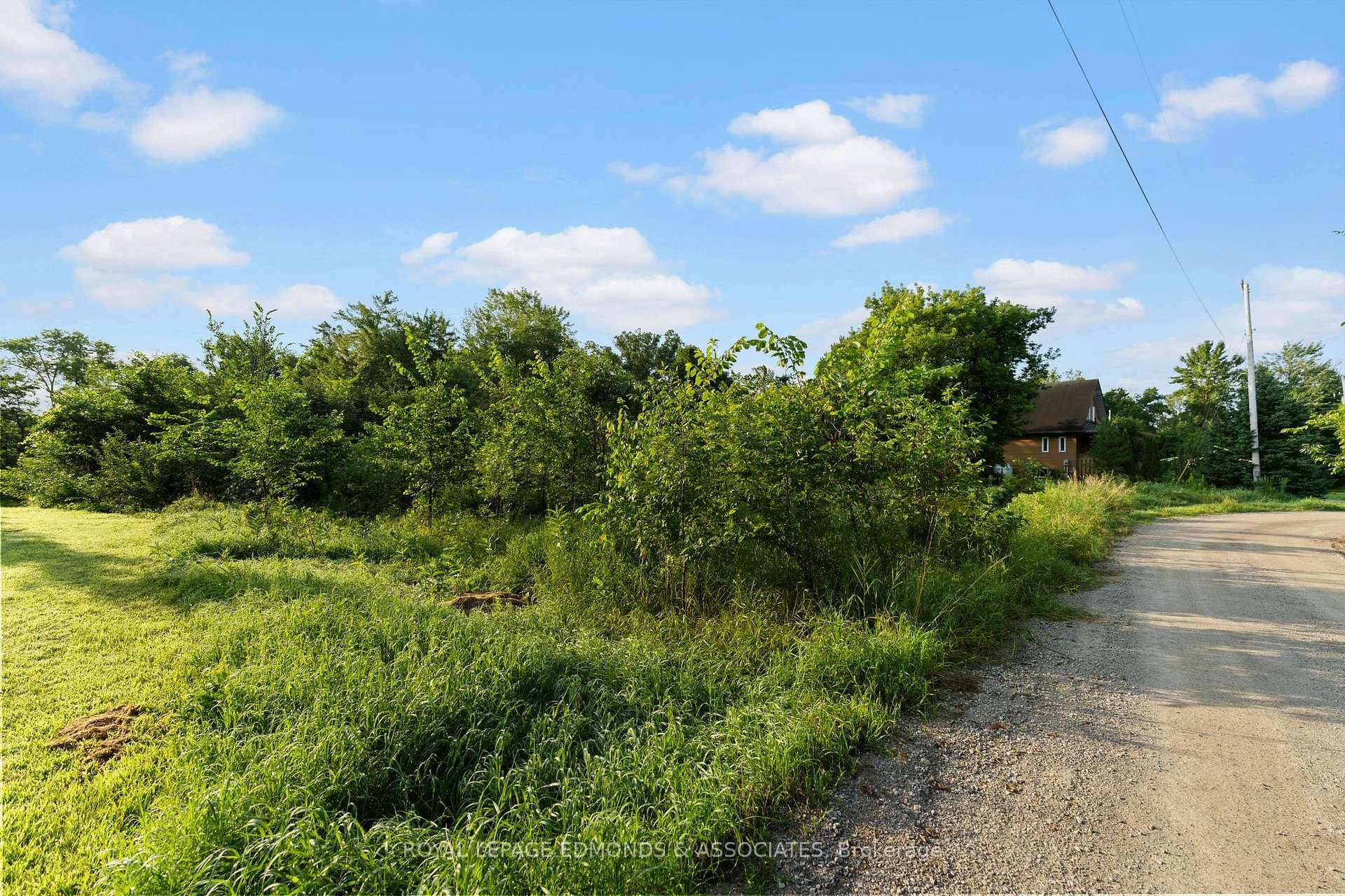 107 Purple Finch Trail photo 17