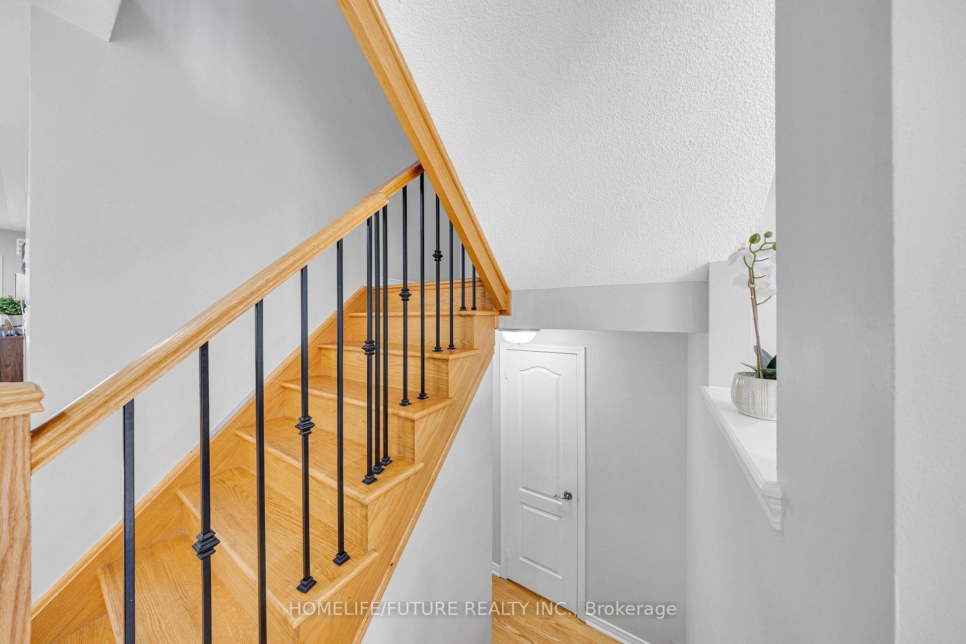 54 Oswell Drive photo 15