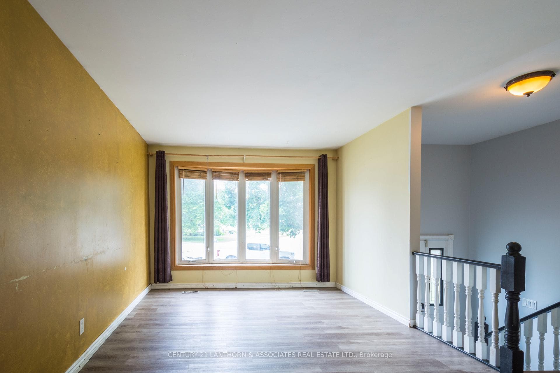 7 Jeanette Place photo 9