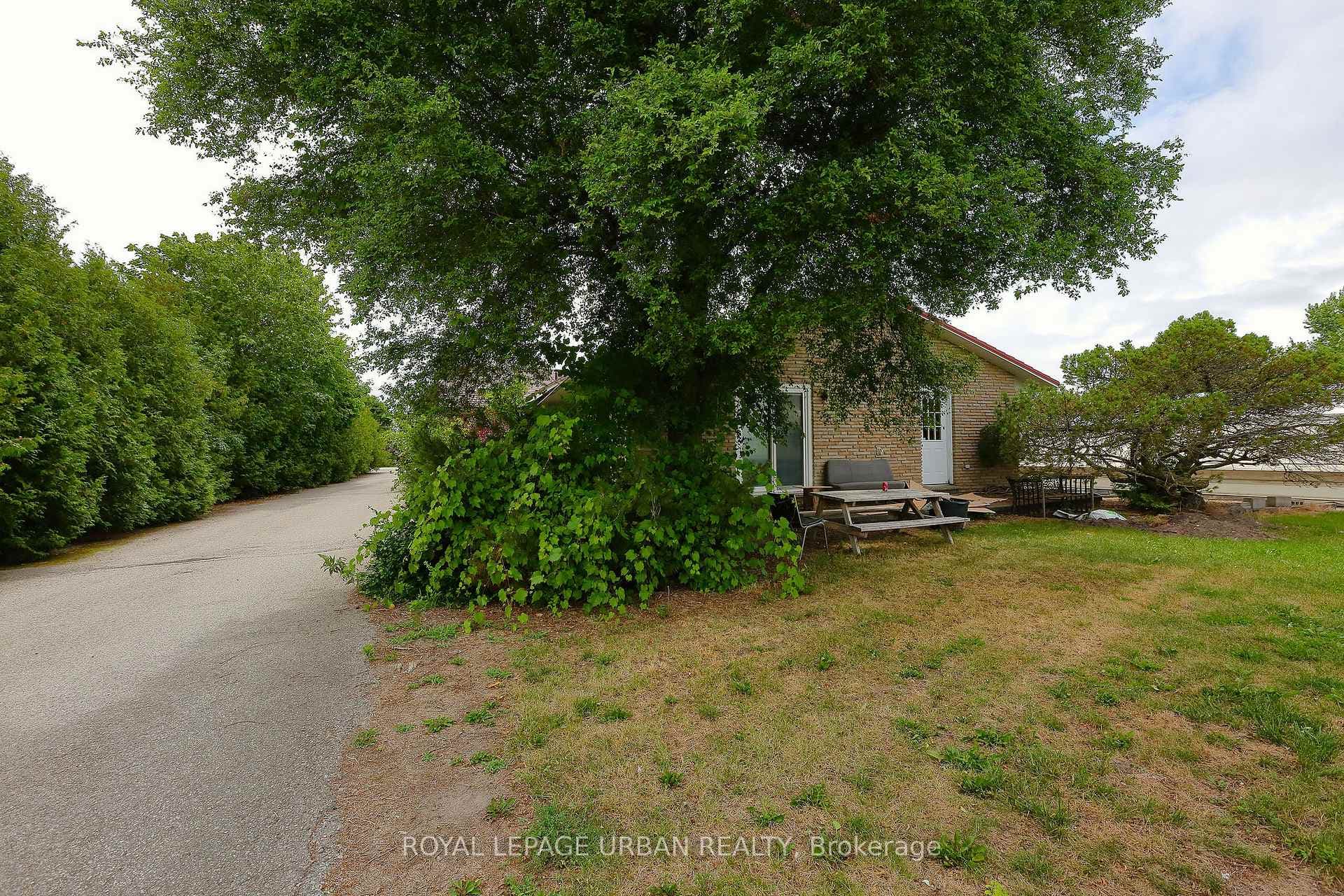 18545 Keele Street photo 31
