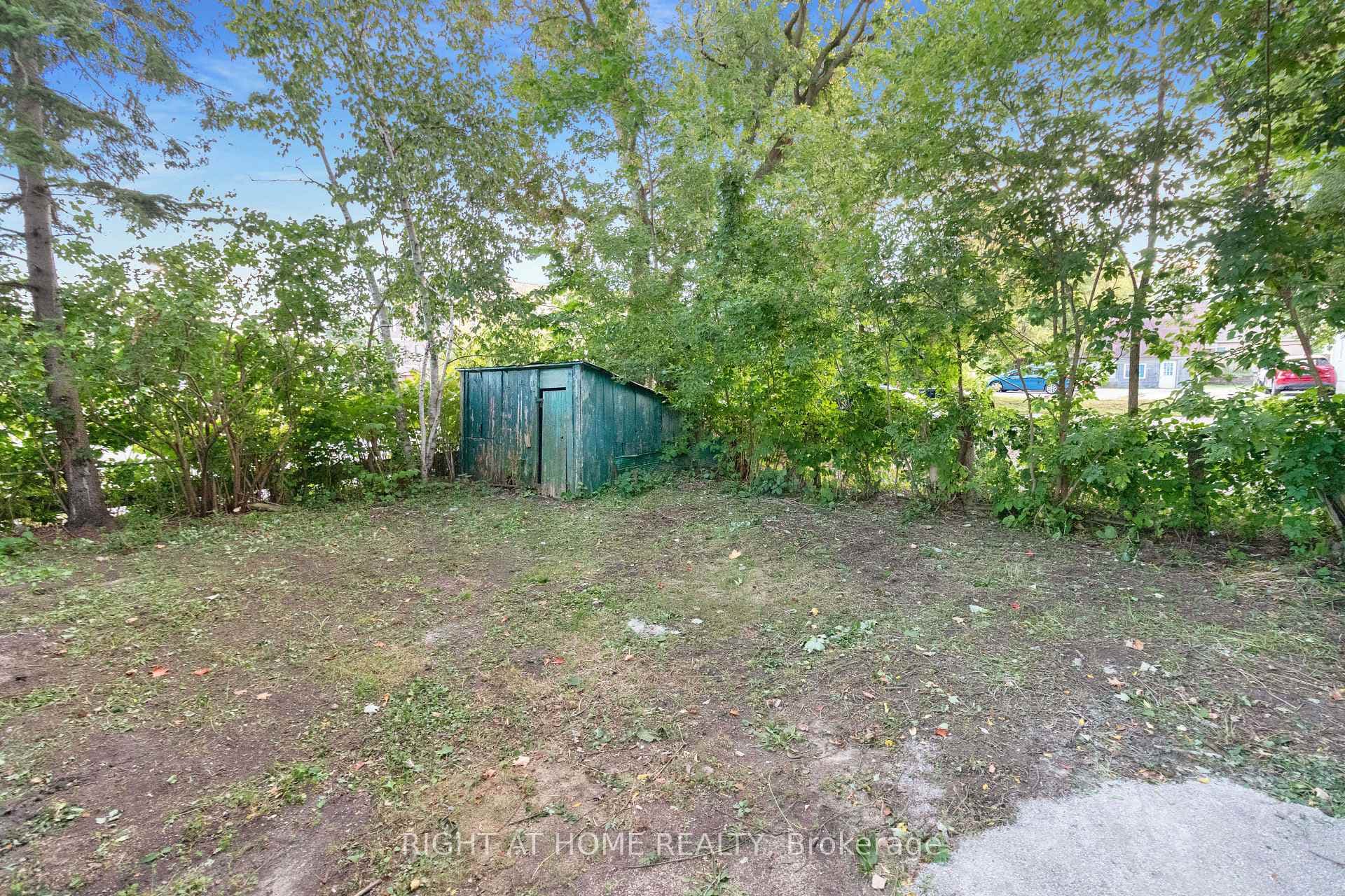 13 Wyandotte Street photo 7