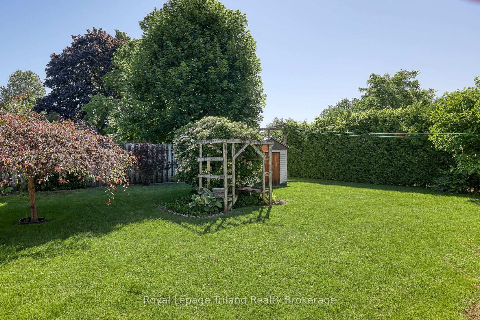 Back Yard
