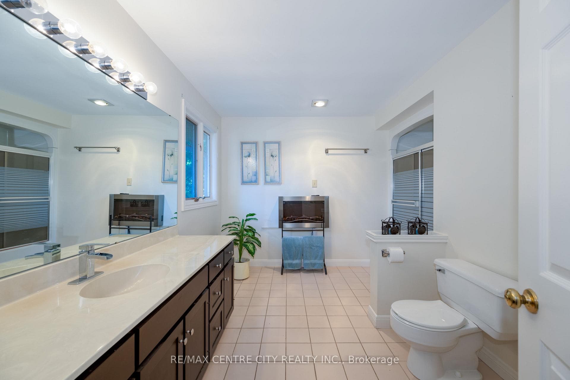 255 MILL POND Crescent photo 29